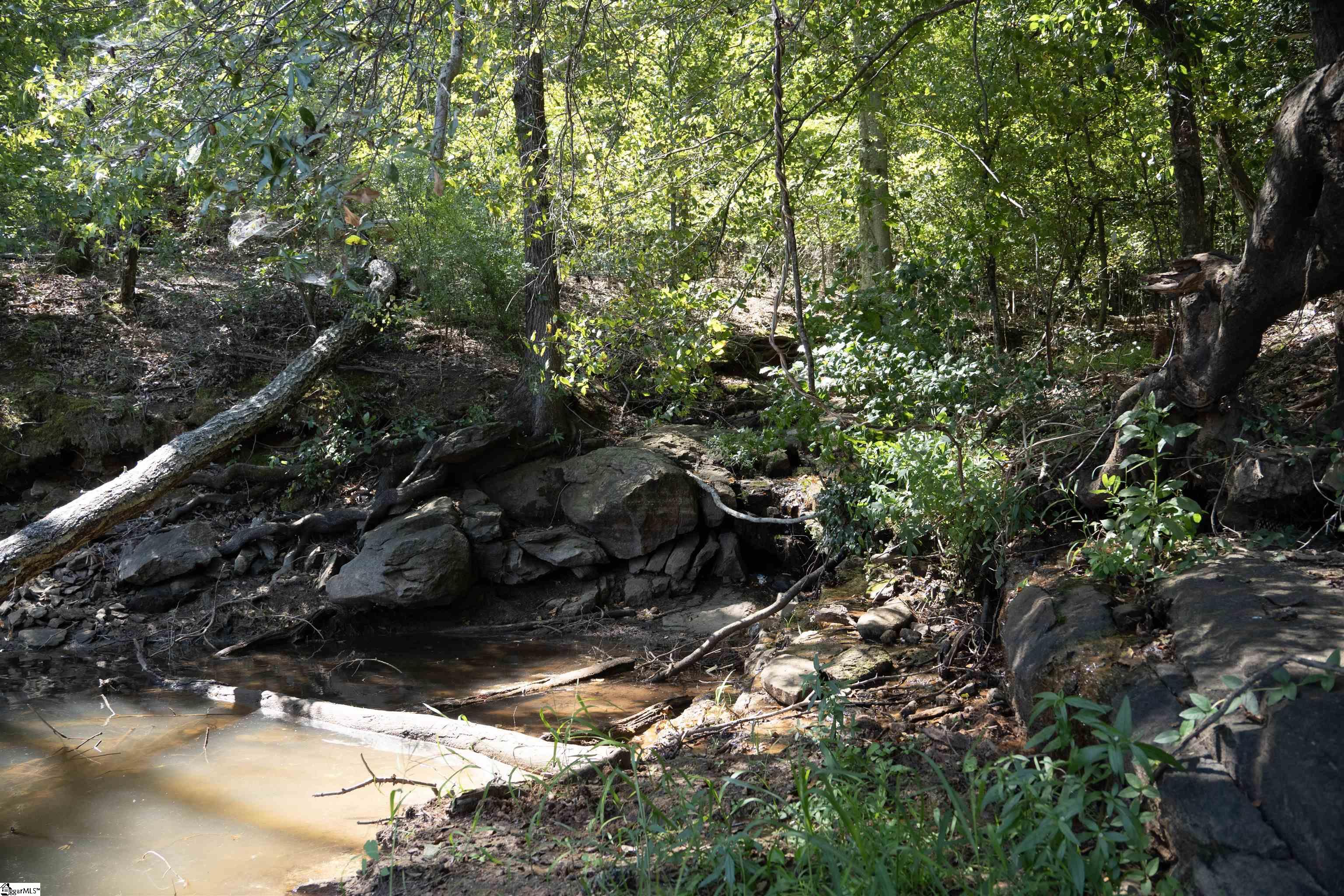 140 Robinhood Road Townville, SC 29689