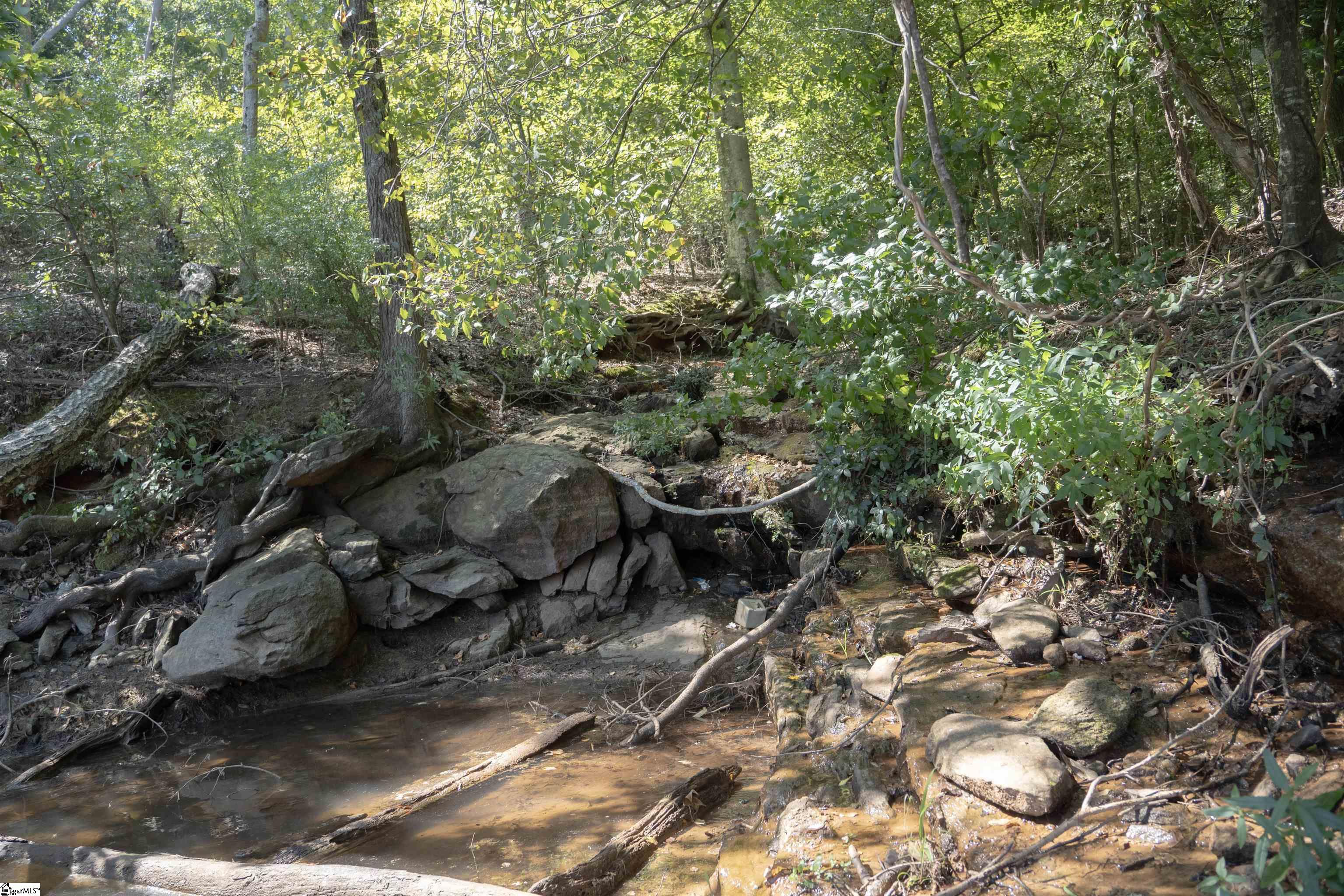 140 Robinhood Road Townville, SC 29689