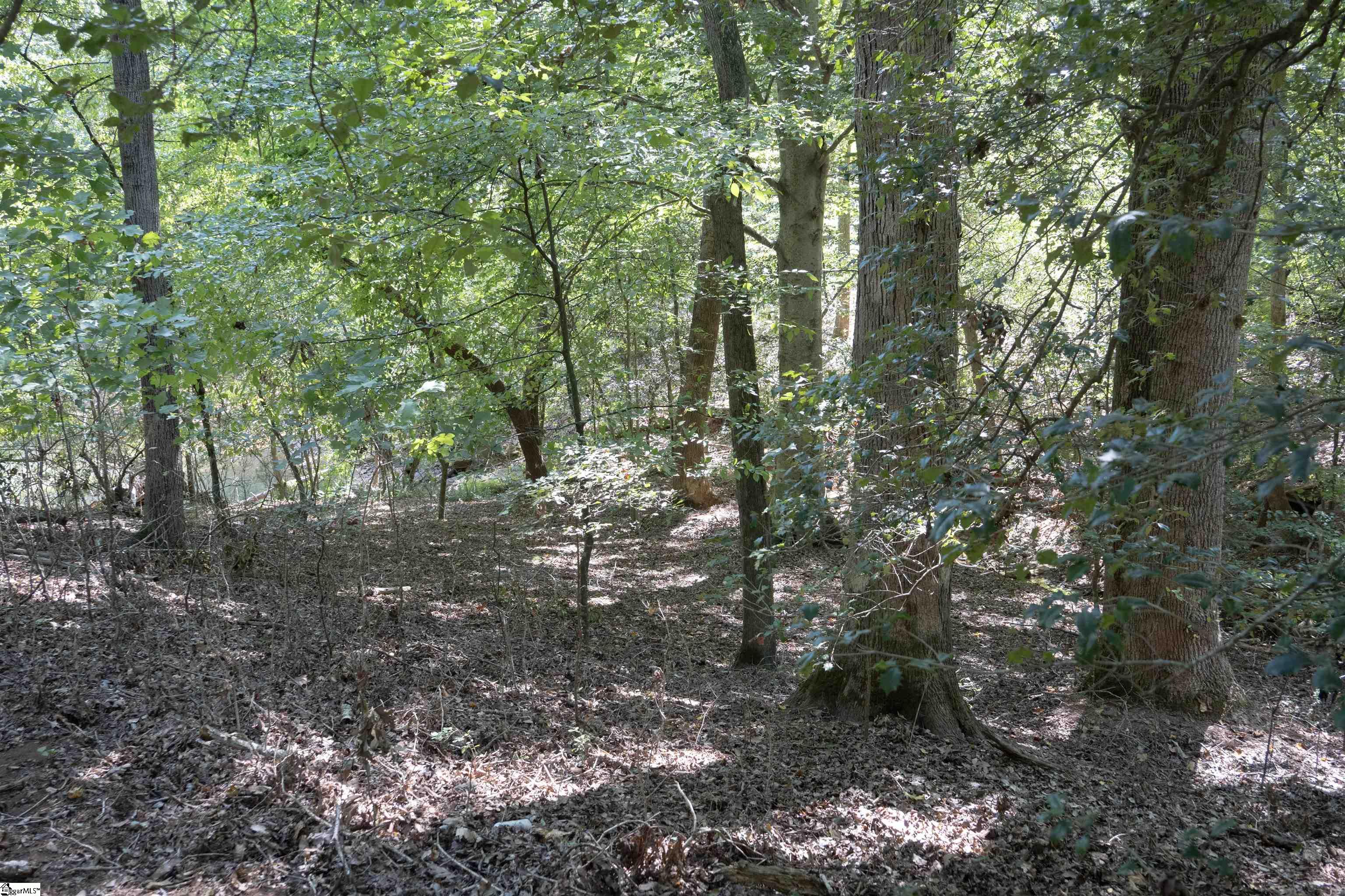 140 Robinhood Road Townville, SC 29689