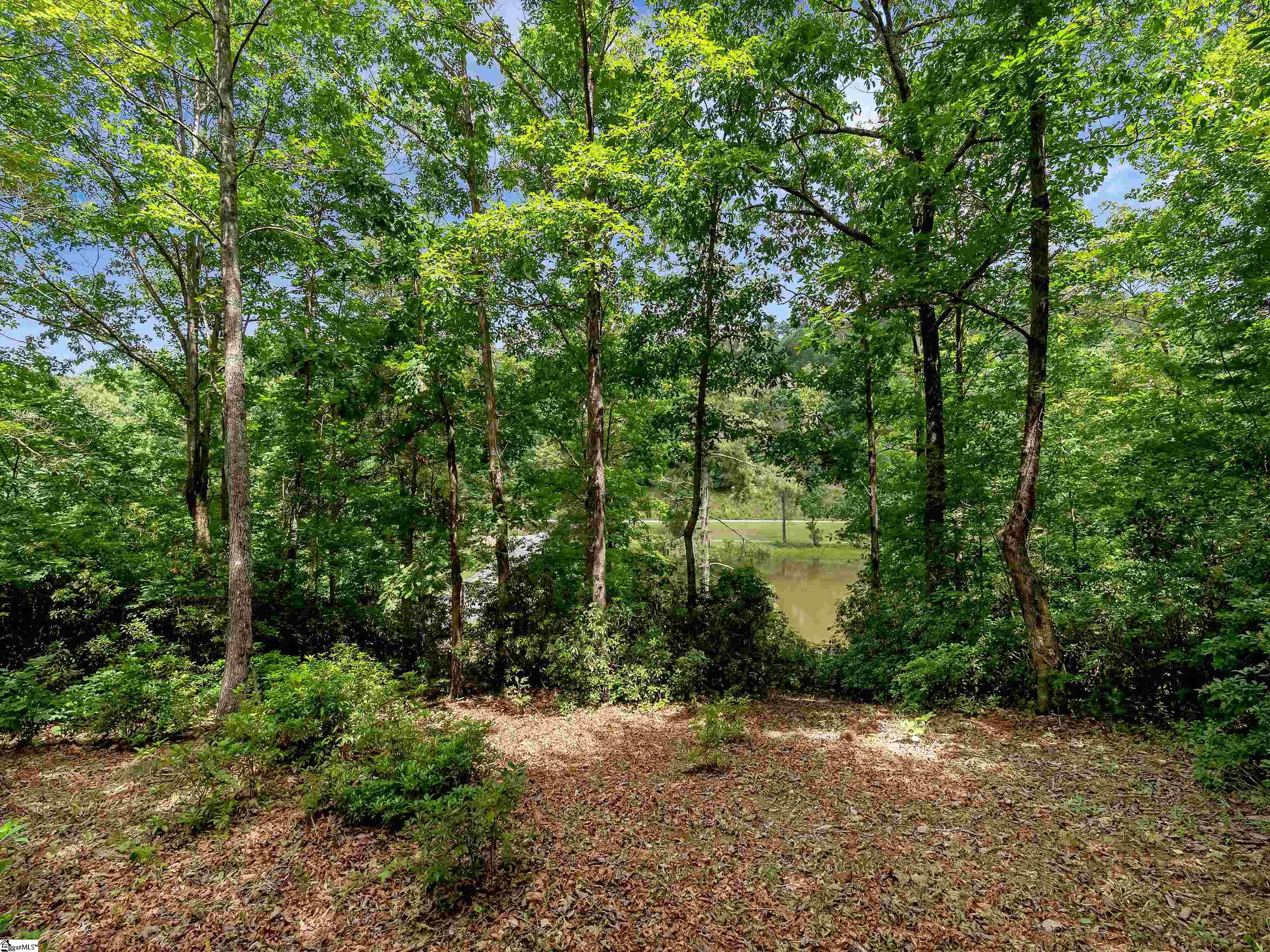 25 Lakes Edge Way Marietta, SC 29661