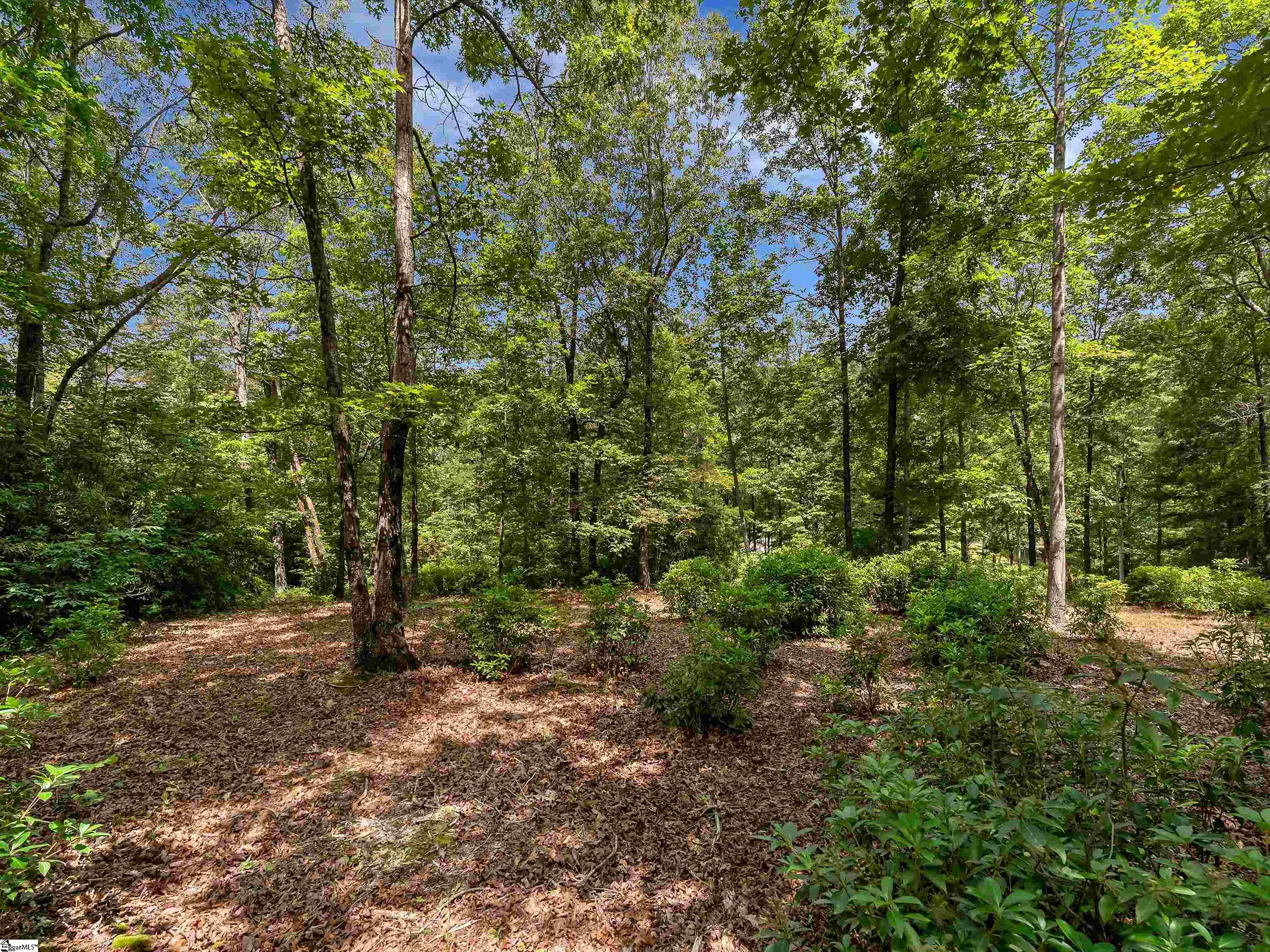 25 Lakes Edge Way Marietta, SC 29661