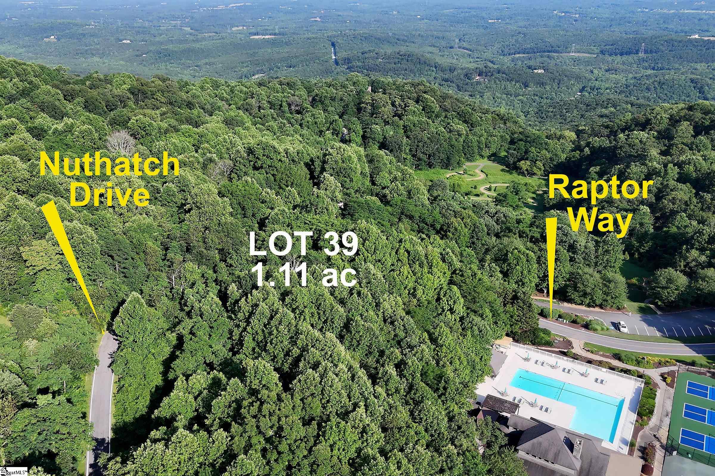 39 Raptor Way Landrum, SC 29356