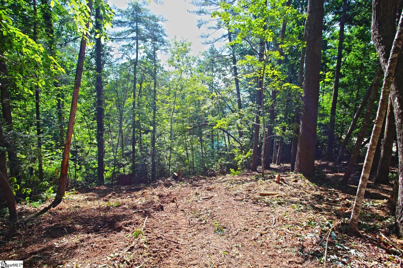 315 Fernwood Drive Salem, SC 29676