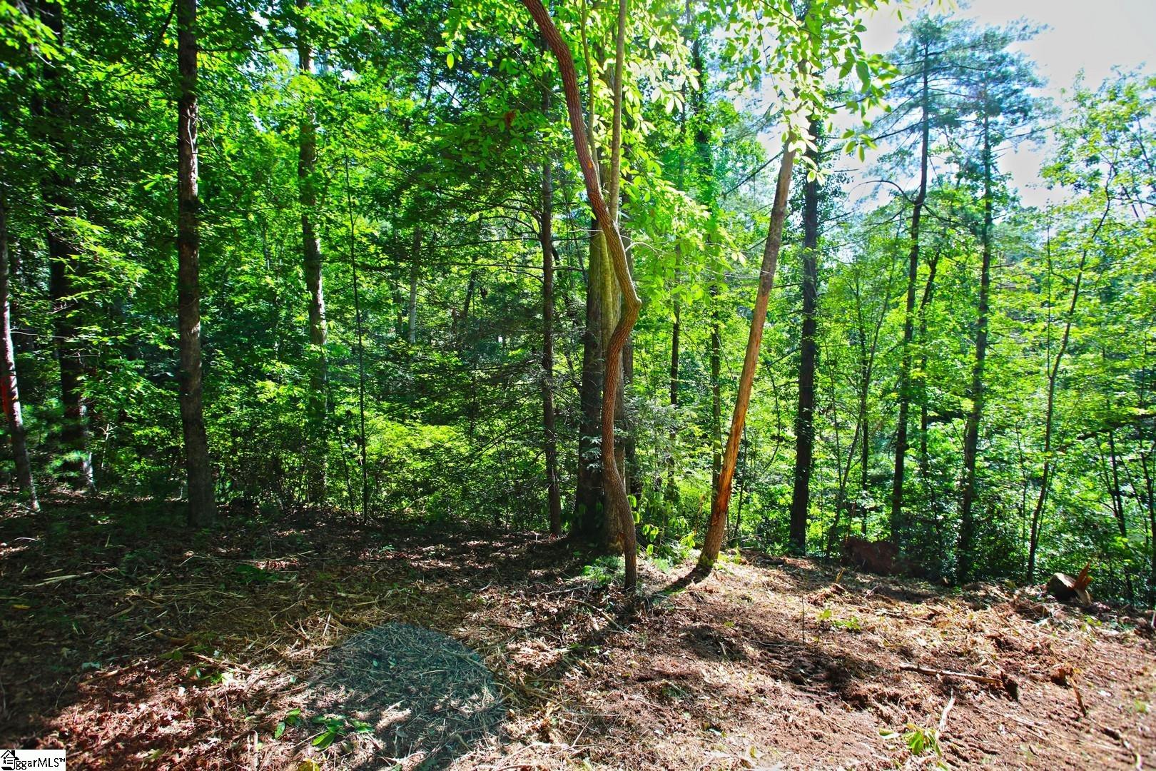 315 Fernwood Drive Salem, SC 29676