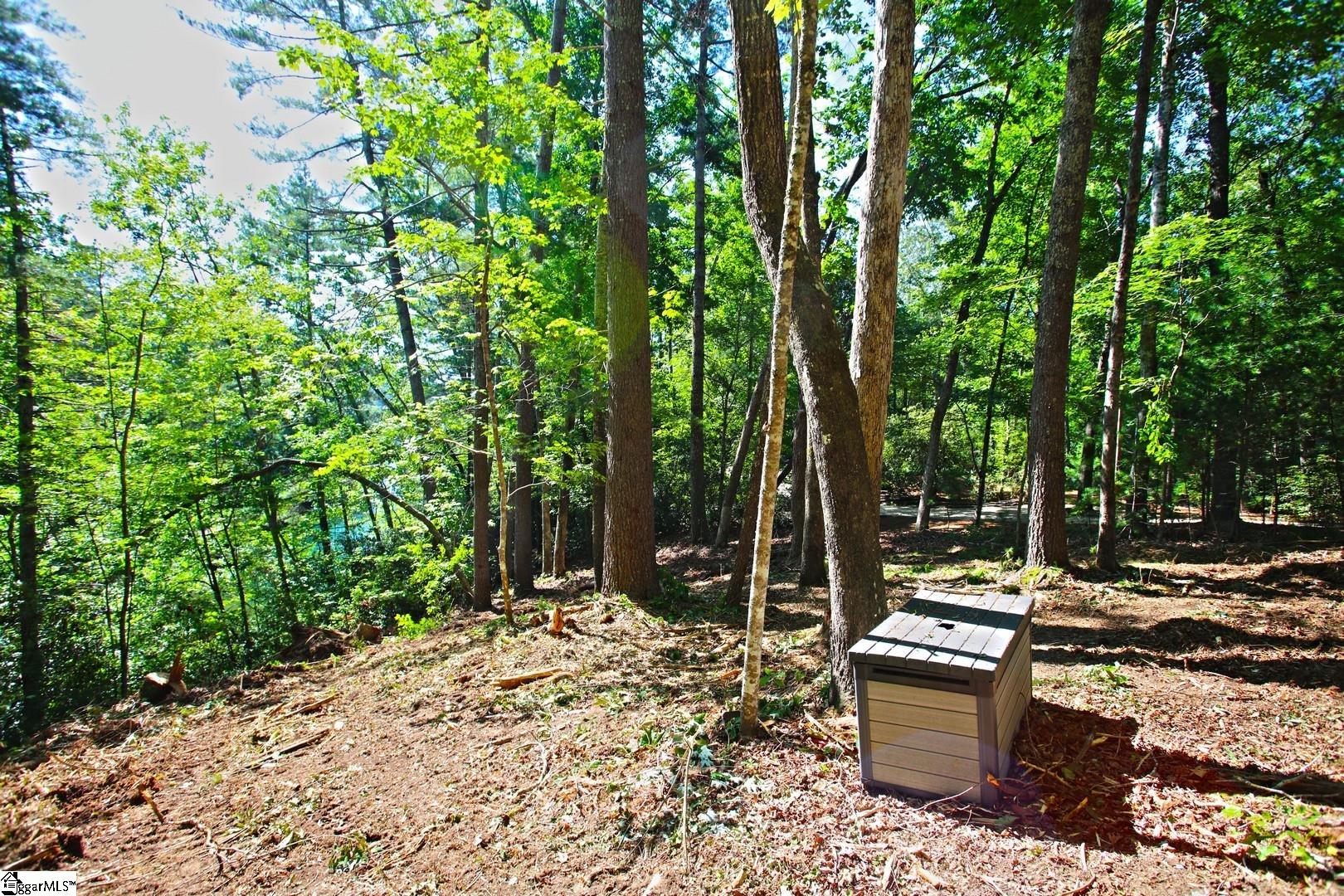 315 Fernwood Drive Salem, SC 29676