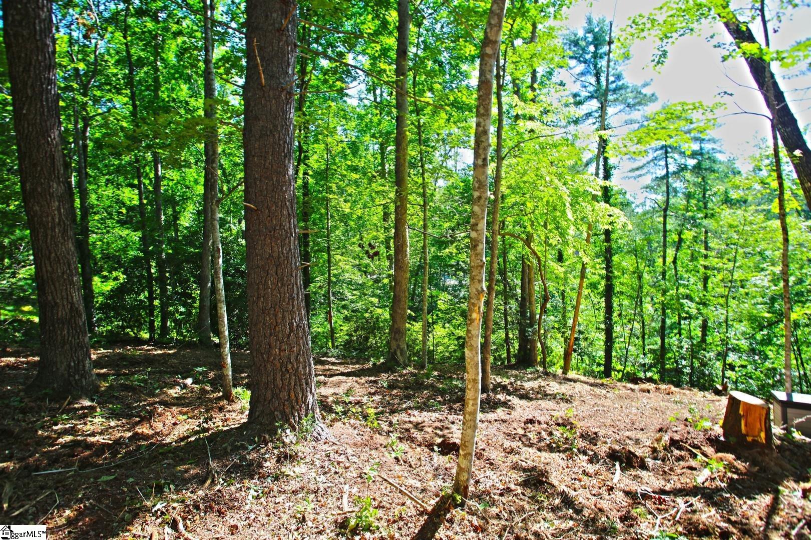 315 Fernwood Drive Salem, SC 29676