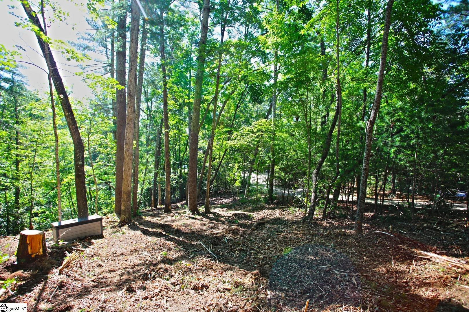 315 Fernwood Drive Salem, SC 29676