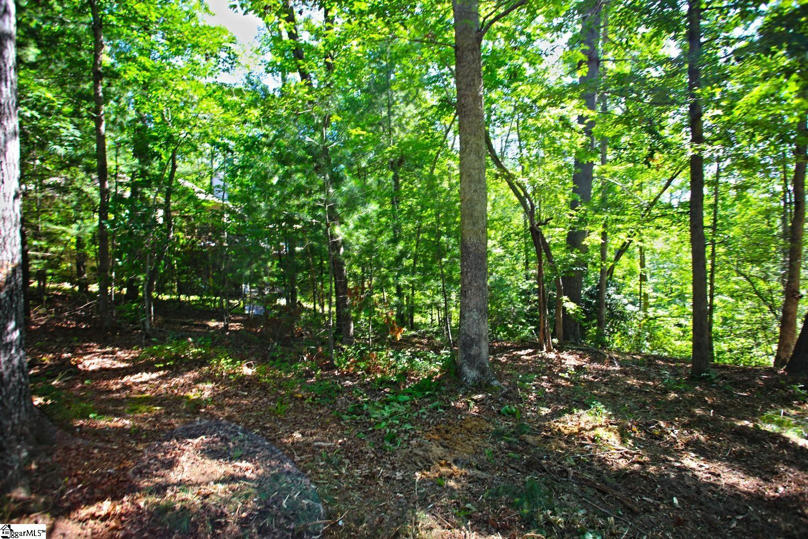 315 Fernwood Drive Salem, SC 29676