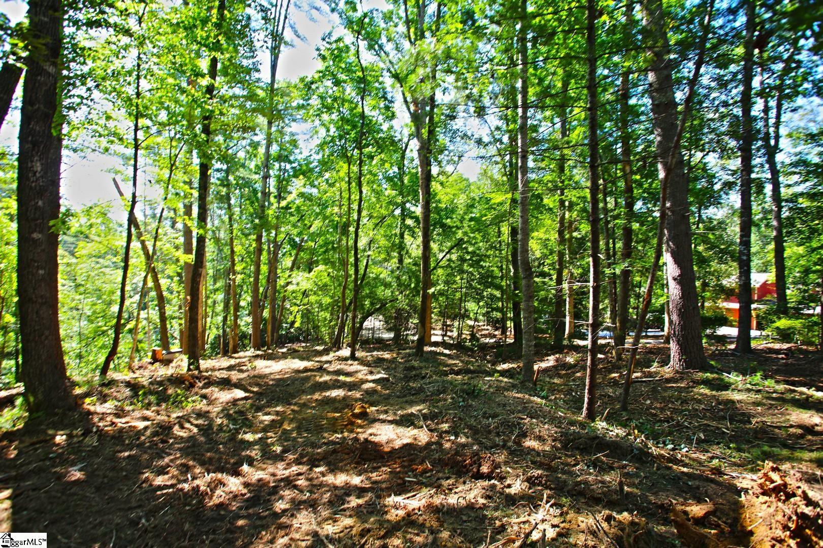 315 Fernwood Drive Salem, SC 29676