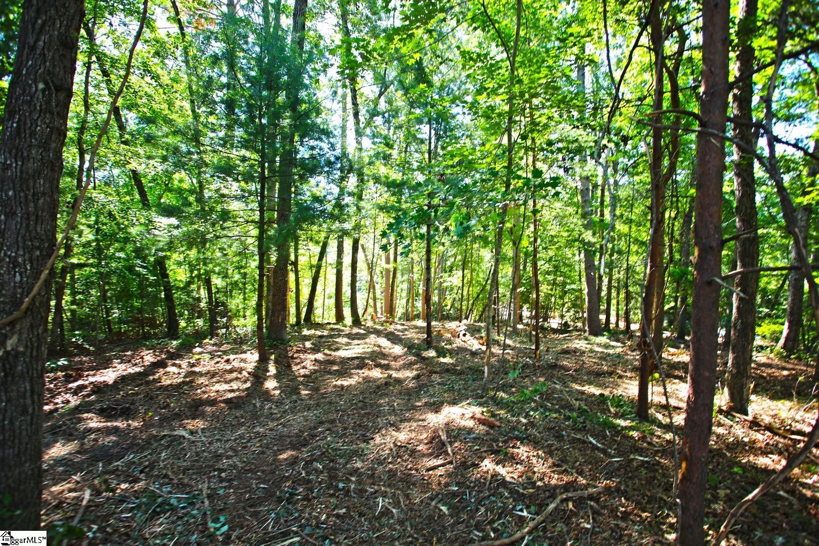 315 Fernwood Drive Salem, SC 29676