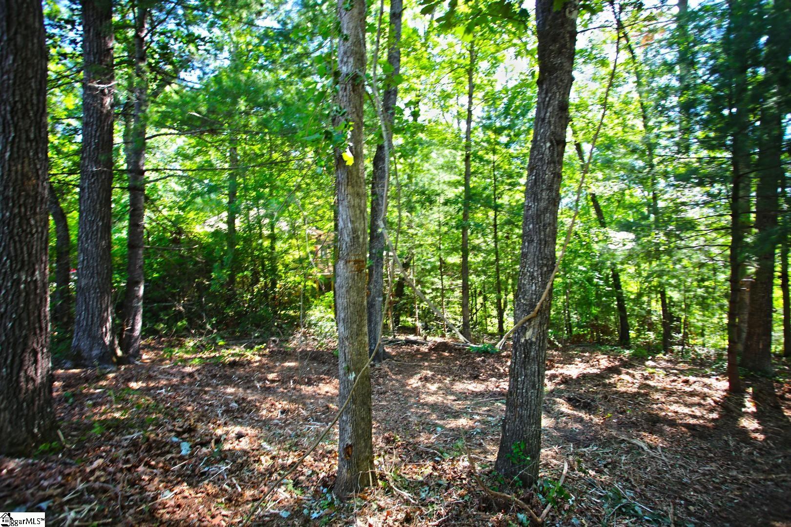 315 Fernwood Drive Salem, SC 29676