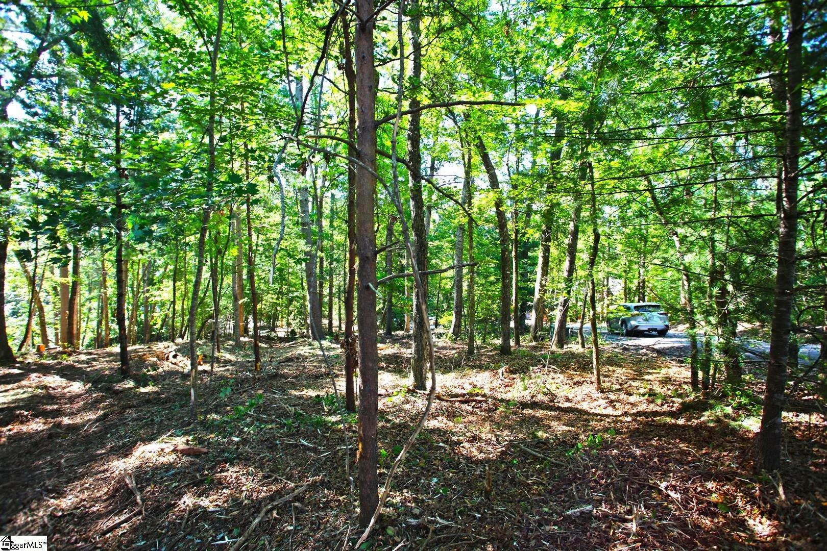 315 Fernwood Drive Salem, SC 29676