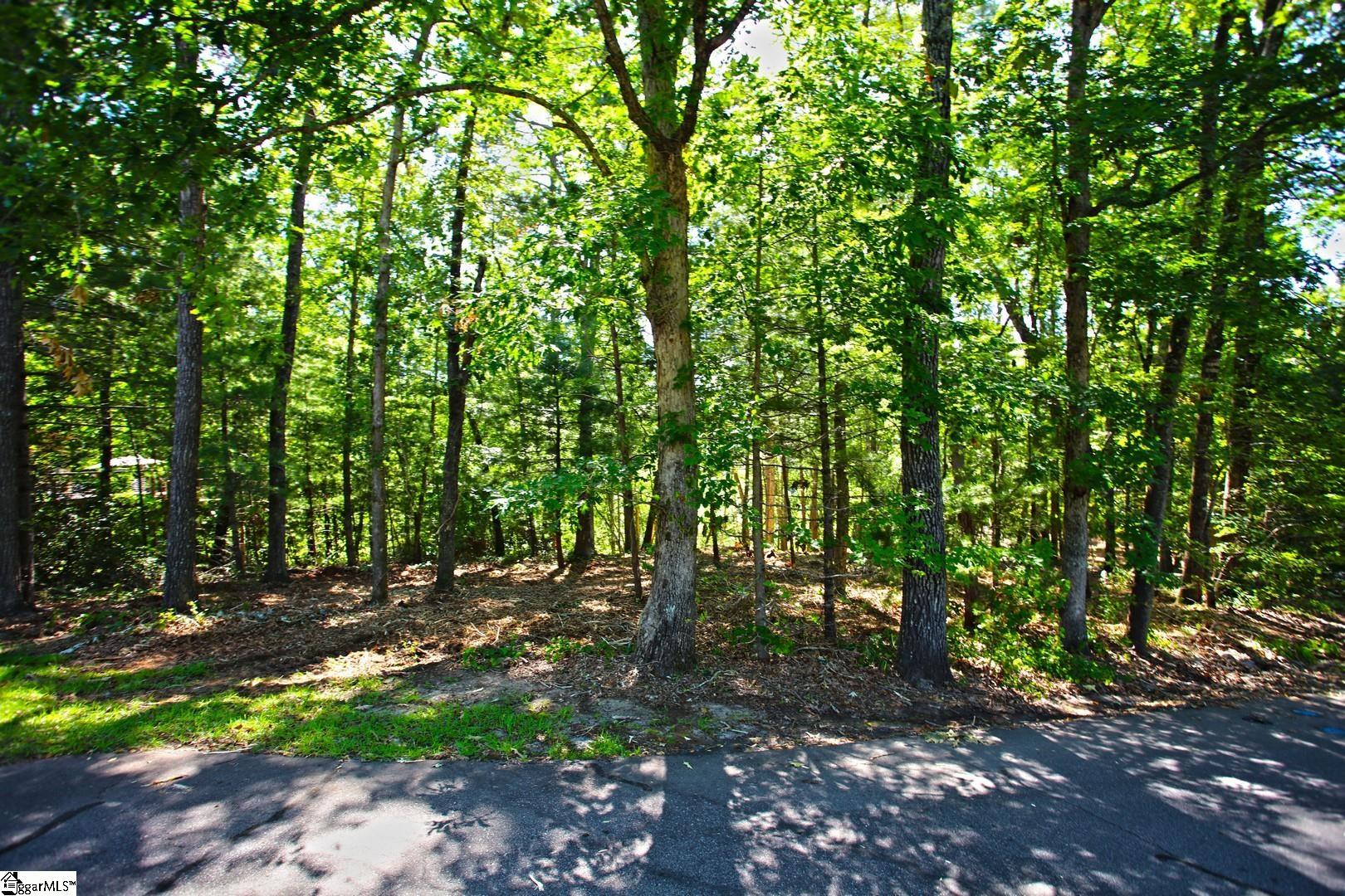 315 Fernwood Drive Salem, SC 29676
