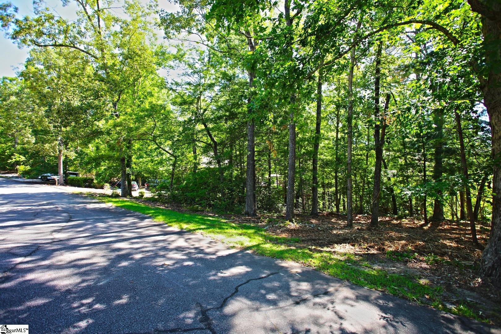 315 Fernwood Drive Salem, SC 29676