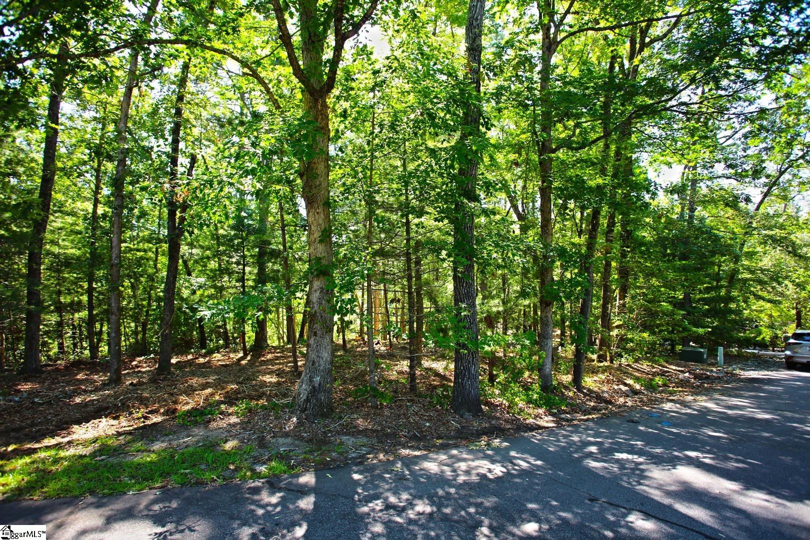 315 Fernwood Drive Salem, SC 29676