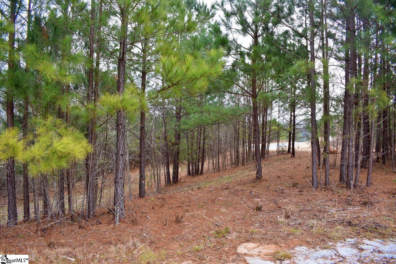 101 Lord Byron Lane Travelers Rest, SC 29690