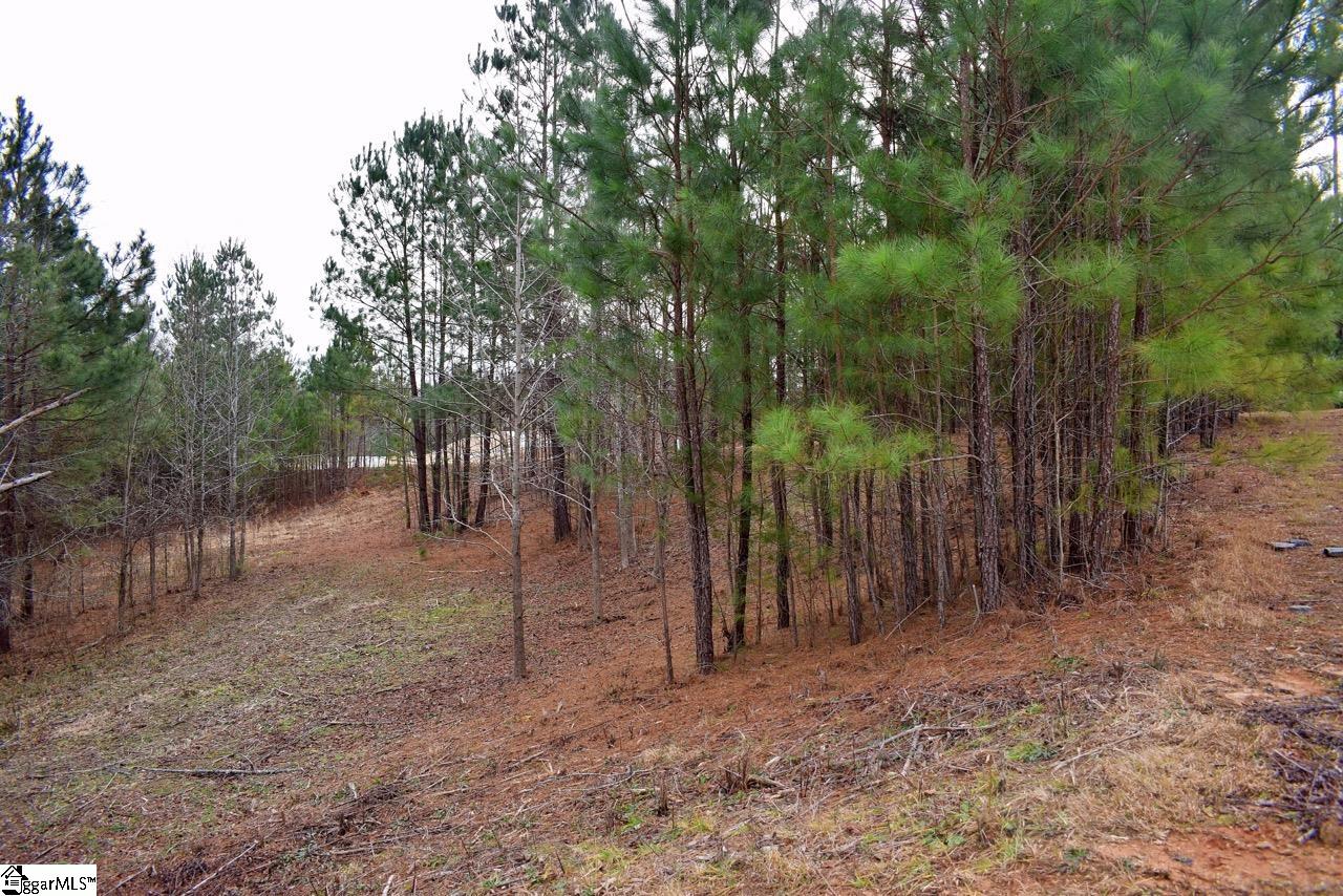 101 Lord Byron Lane Travelers Rest, SC 29690