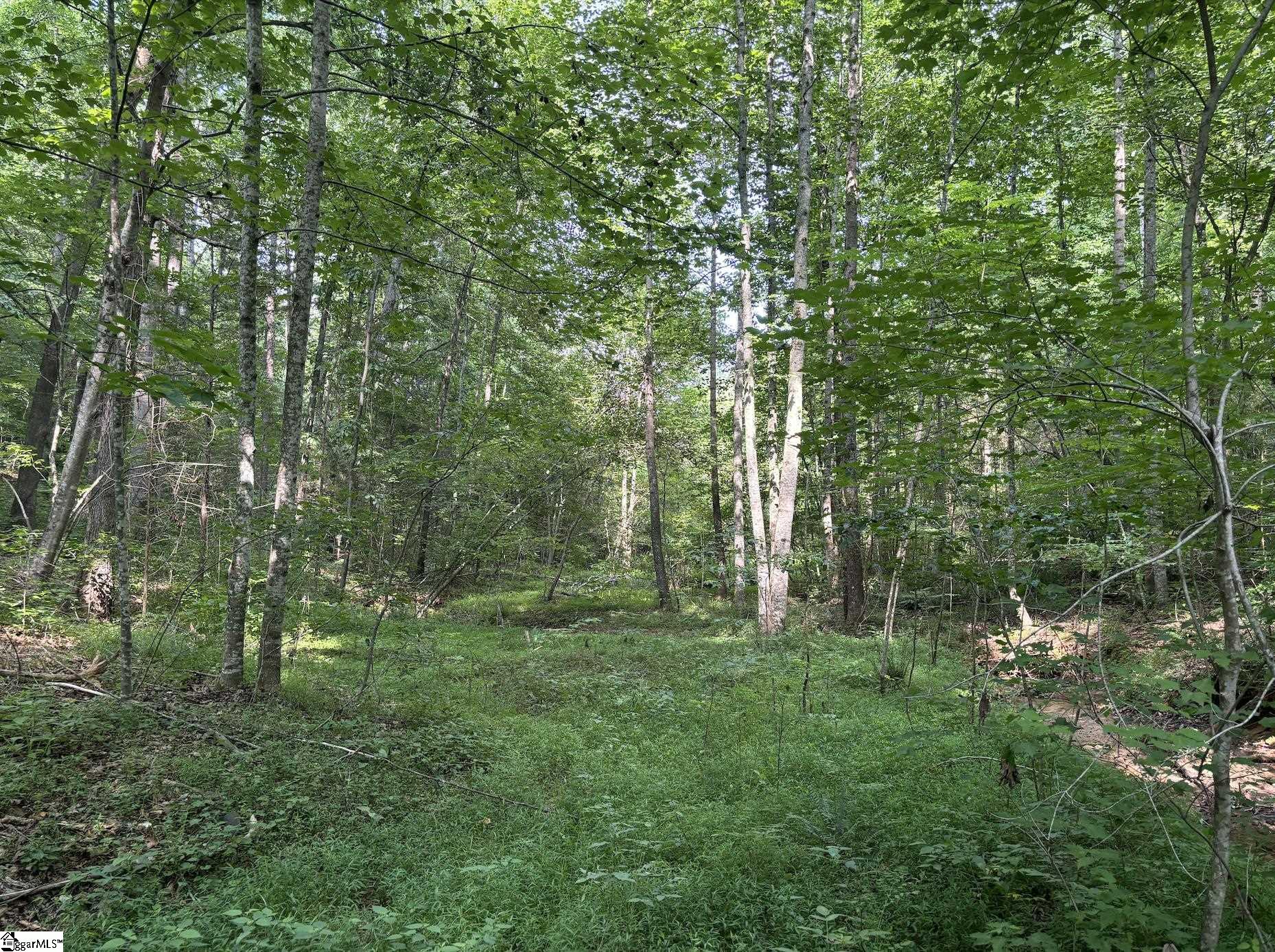 199 Johns Mill Road Westminster, SC 29693