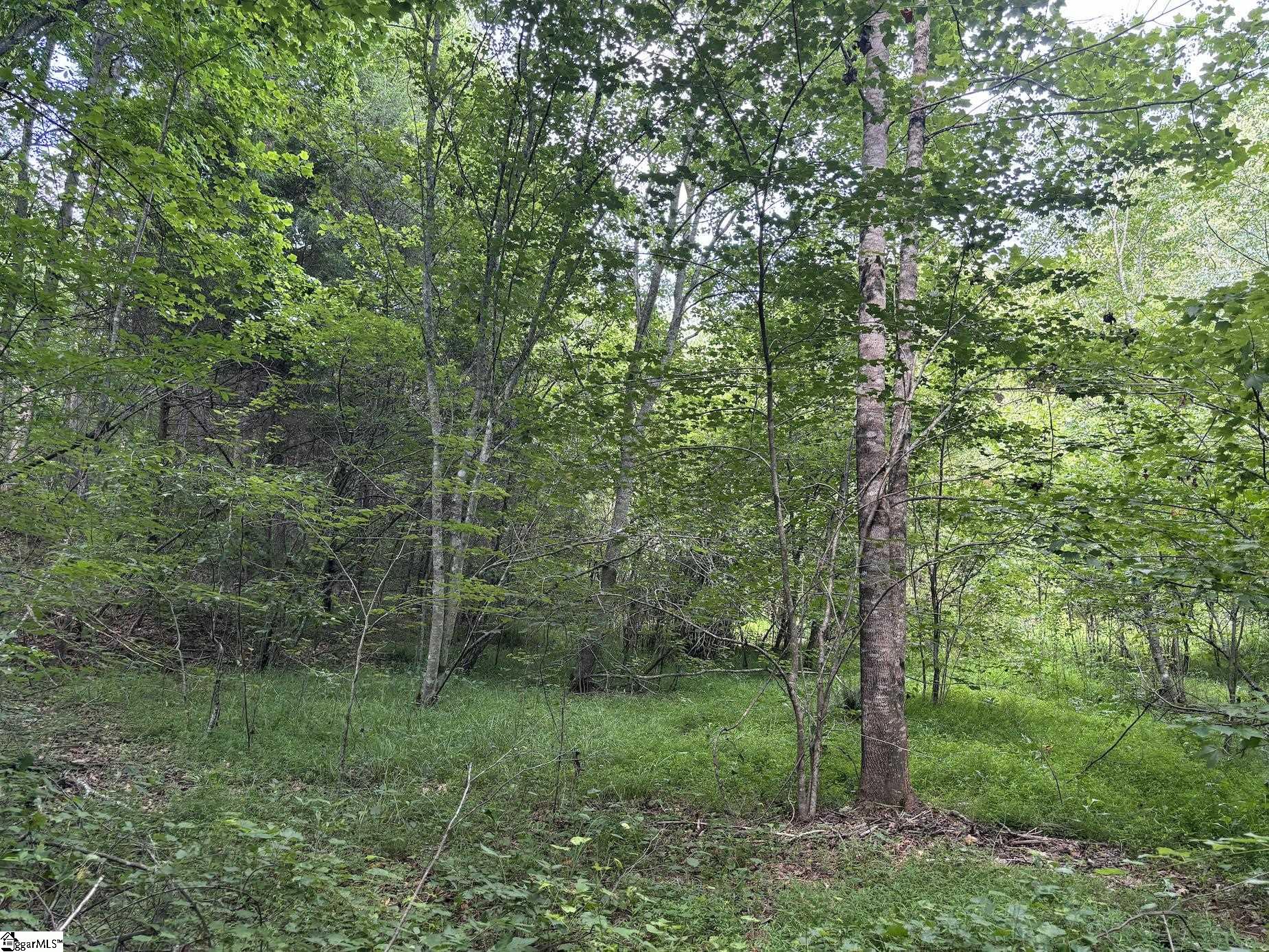 199 Johns Mill Road Westminster, SC 29693