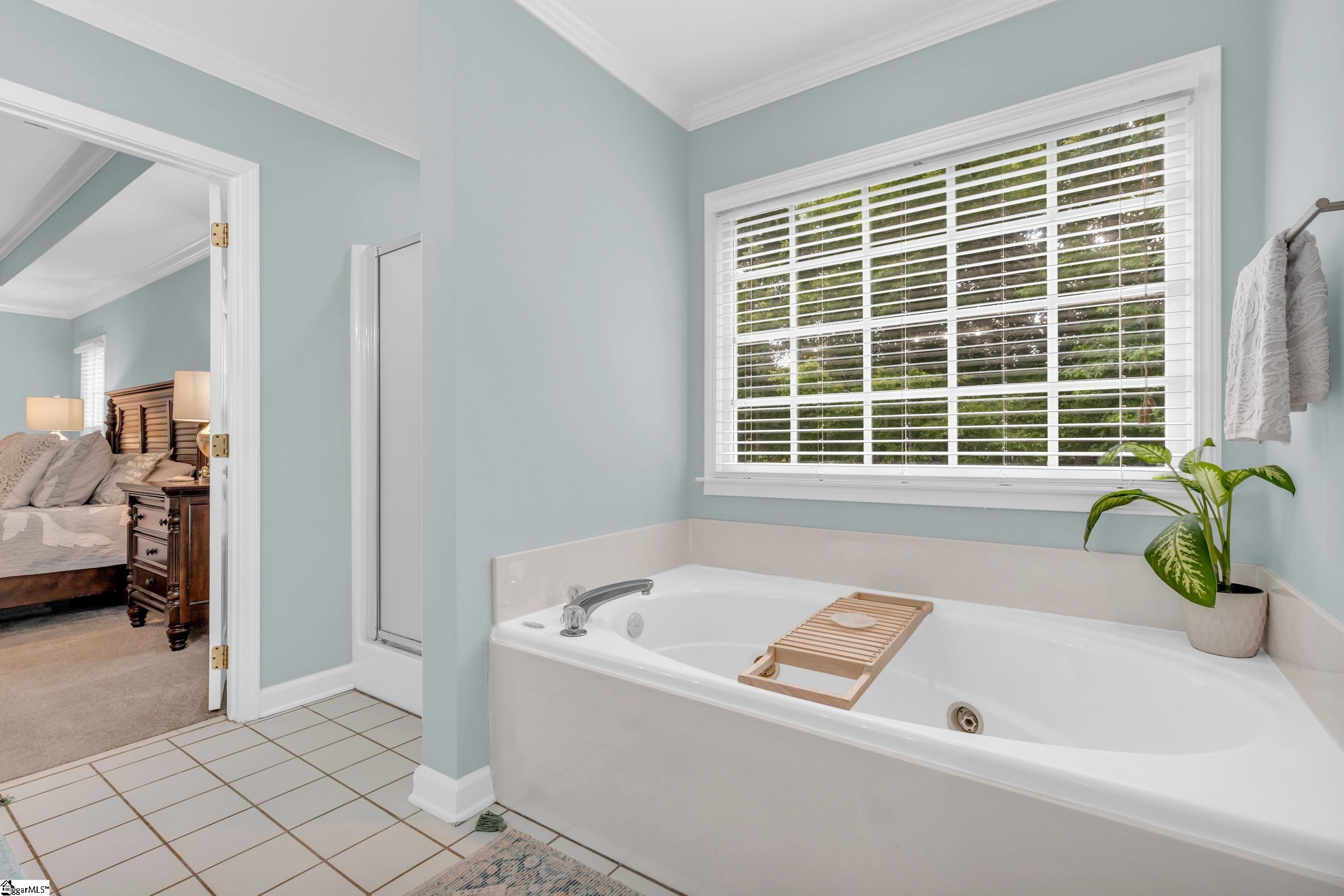 14 Featherwood Court Simpsonville, SC 29680