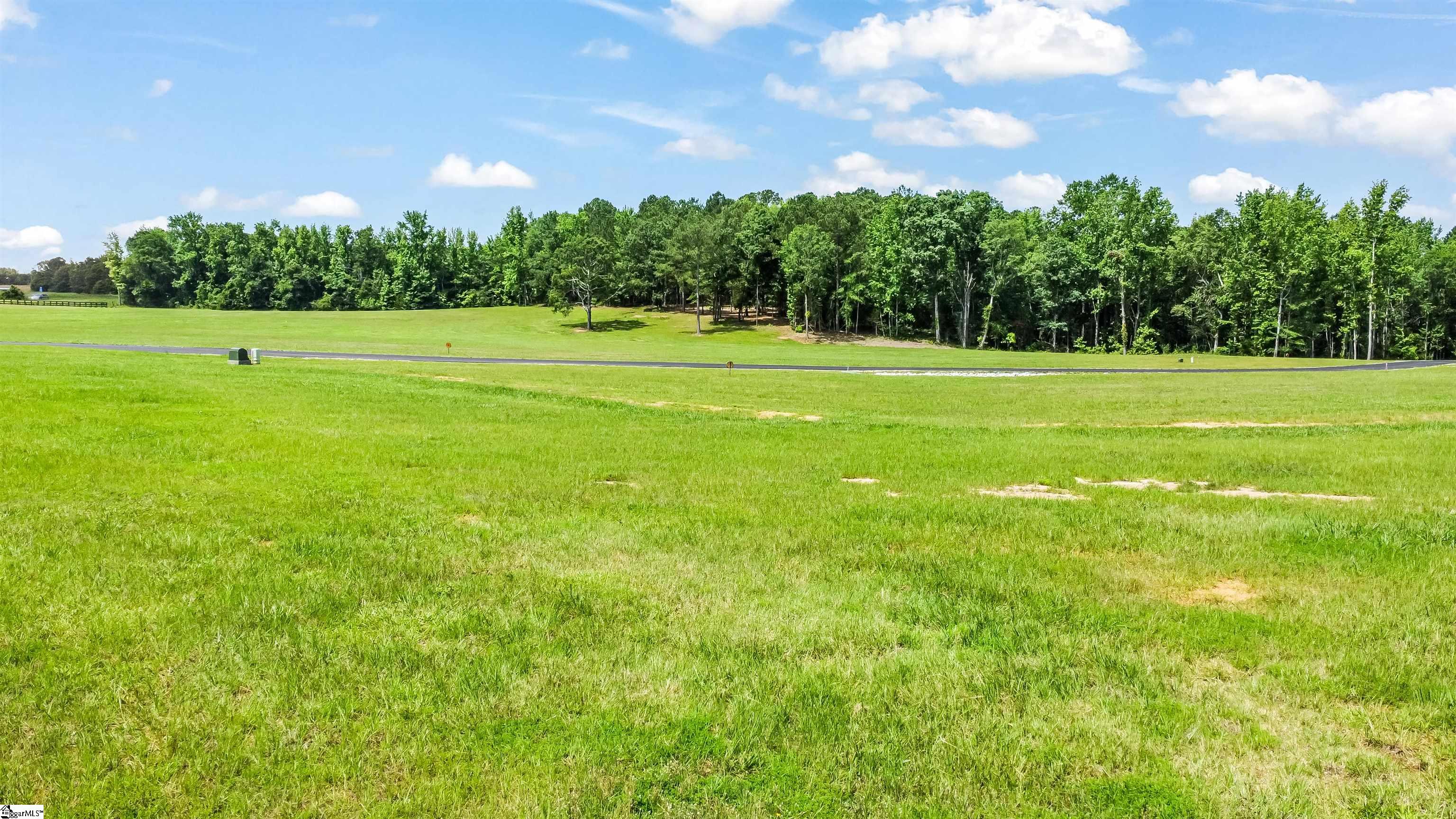 110 Flowing Rock Road UNIT Lot 1 Honea Path, SC 29654