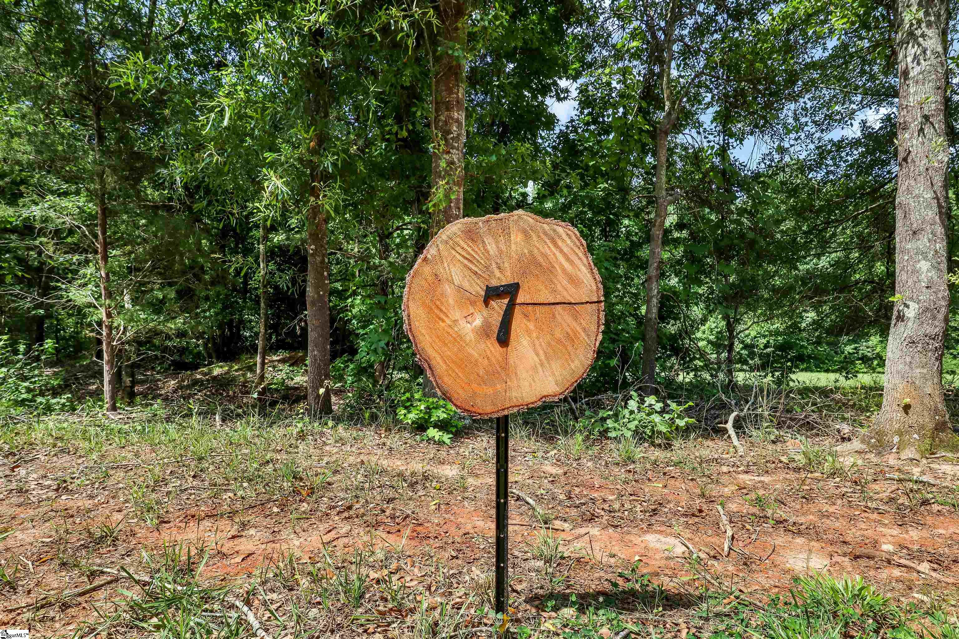 141 Flowing Rock Road UNIT Lot 7 Honea Path, SC 29654