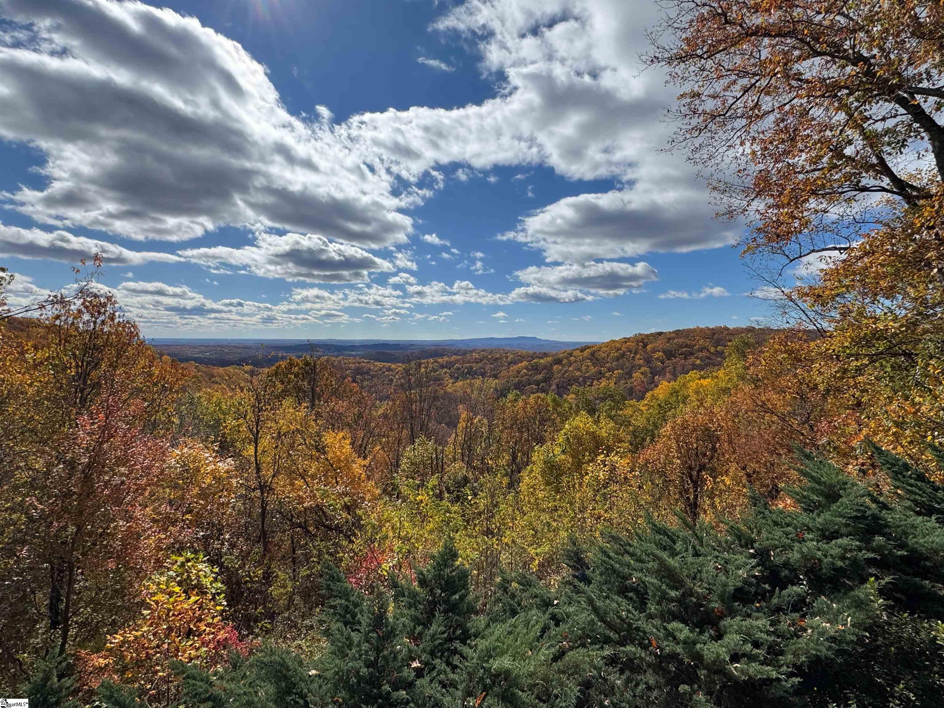 Homes for sale in Landrum, SC | 114 High Rock Ridge Dr, Landrum, SC 29356 | MLS# 1561221