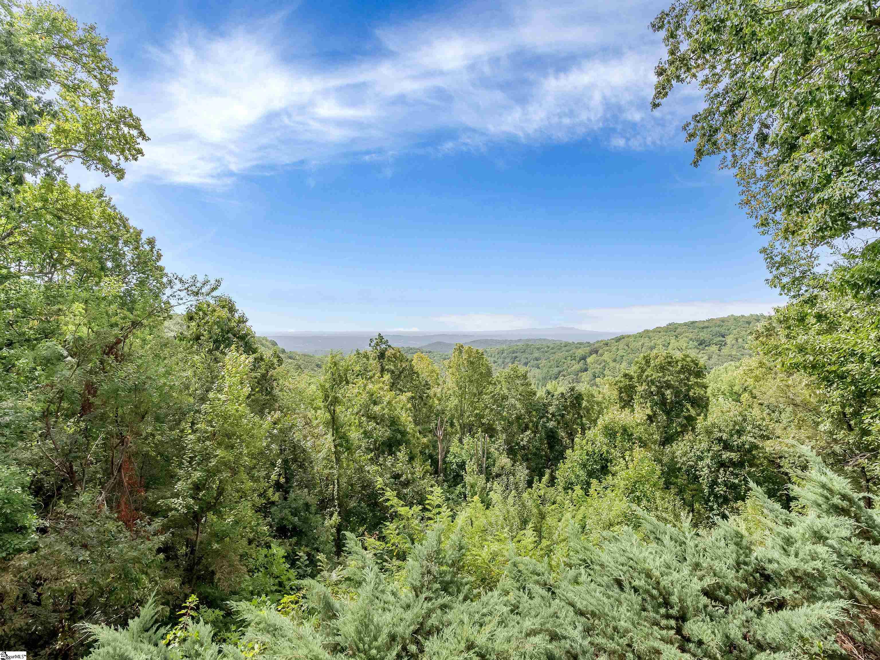 114 High Rock Ridge Drive Landrum, SC 29356