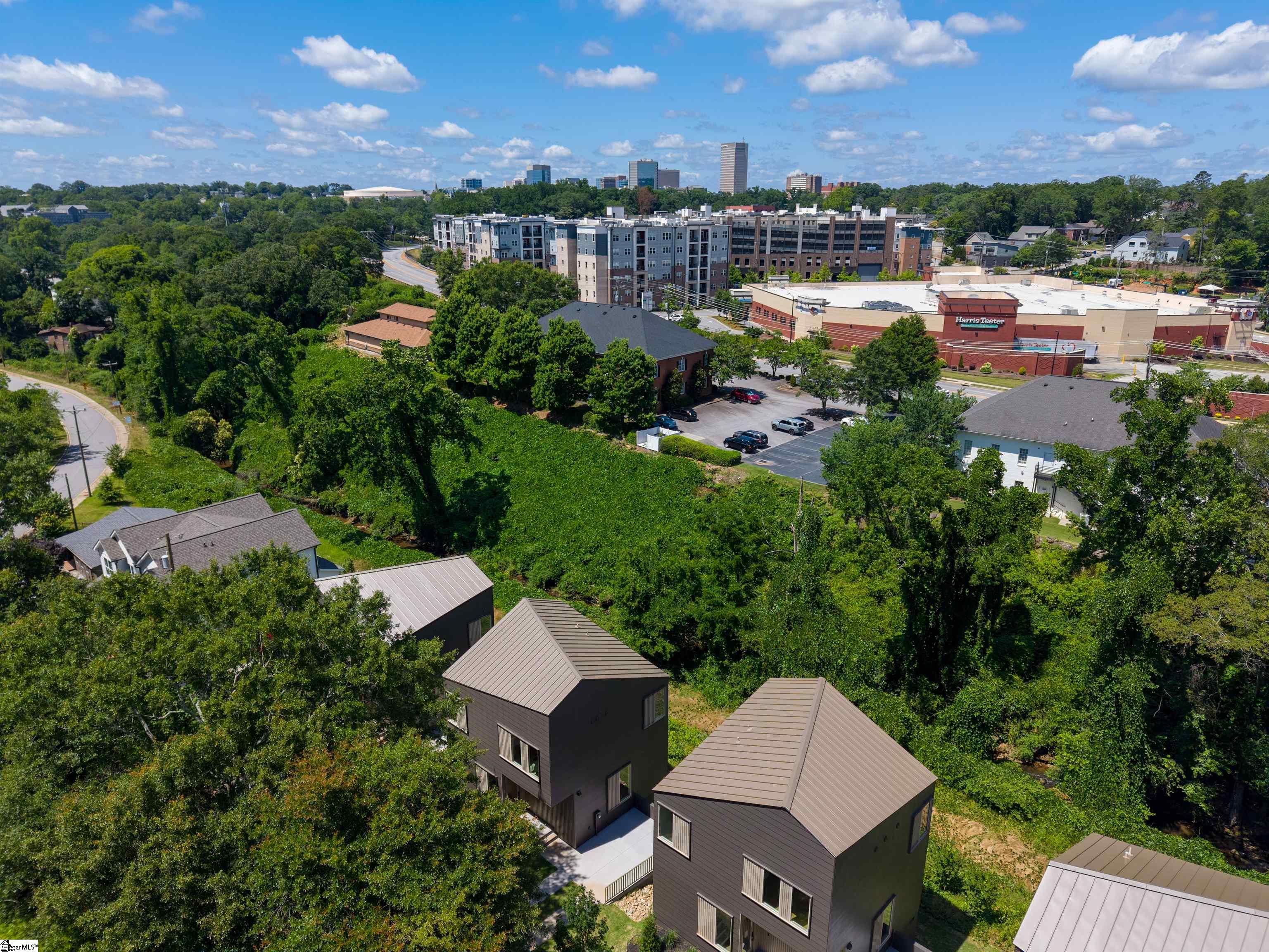 9 Mount Zion Avenue Greenville, SC 29607