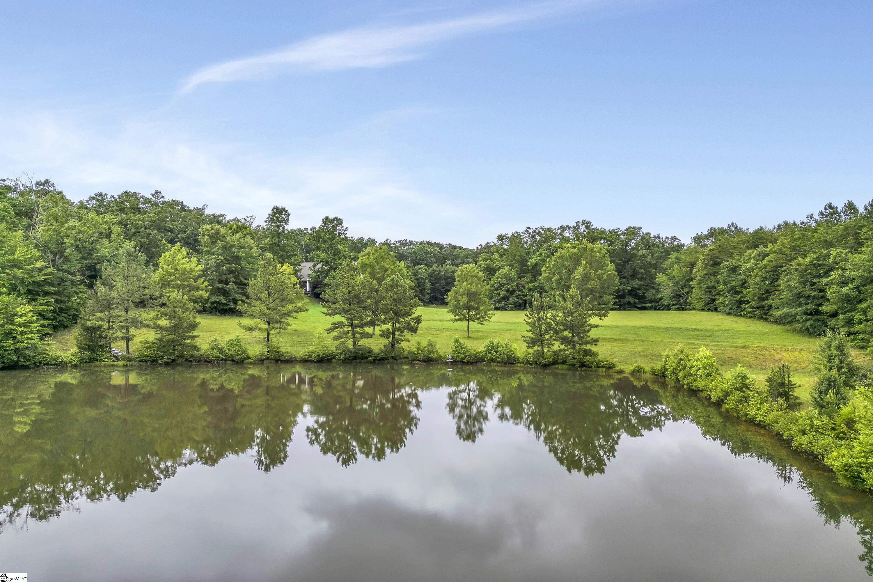 1527 S Blackstock Road Landrum, SC 29356