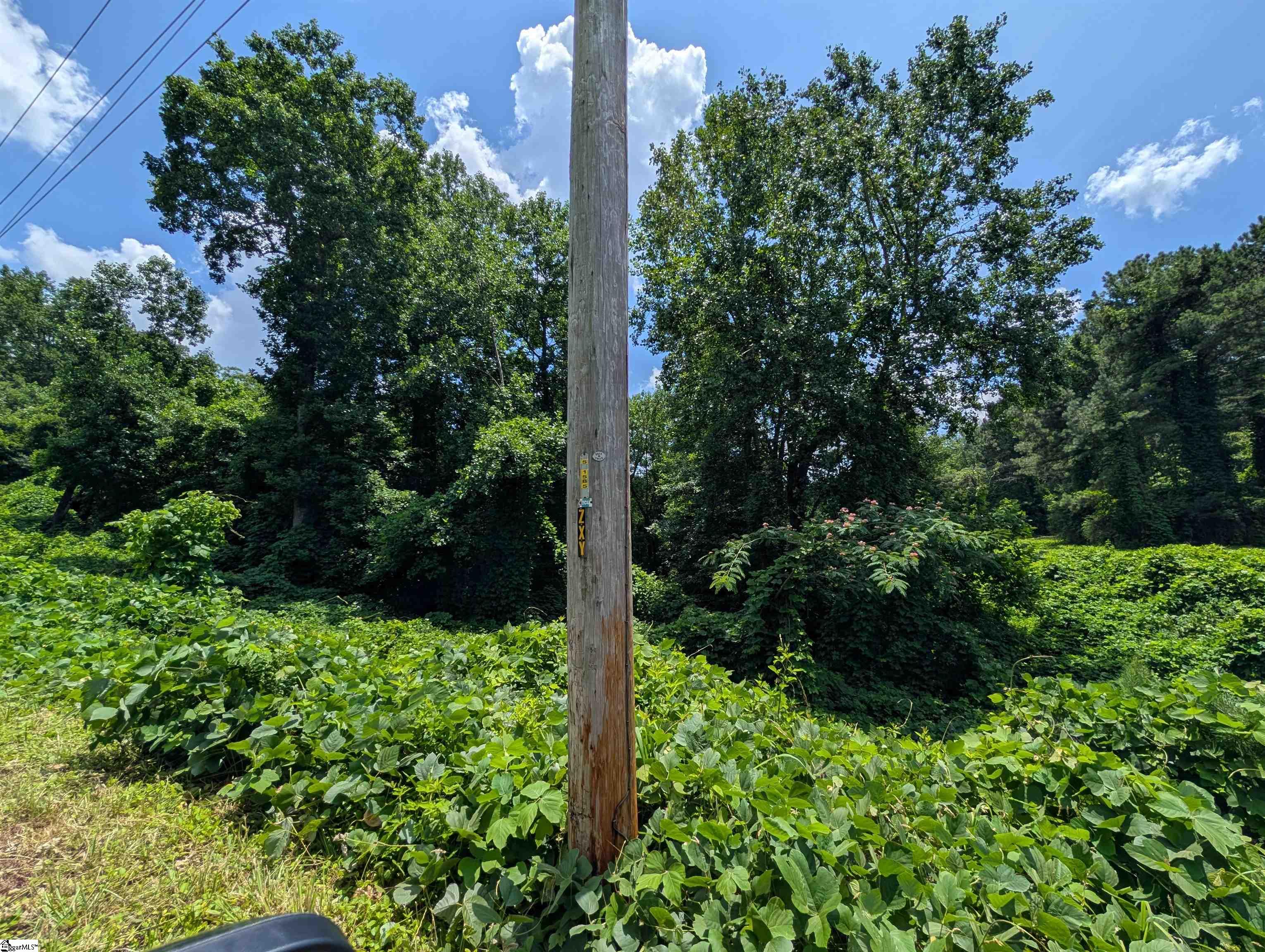 Olive Street Easley, SC 29640-1536