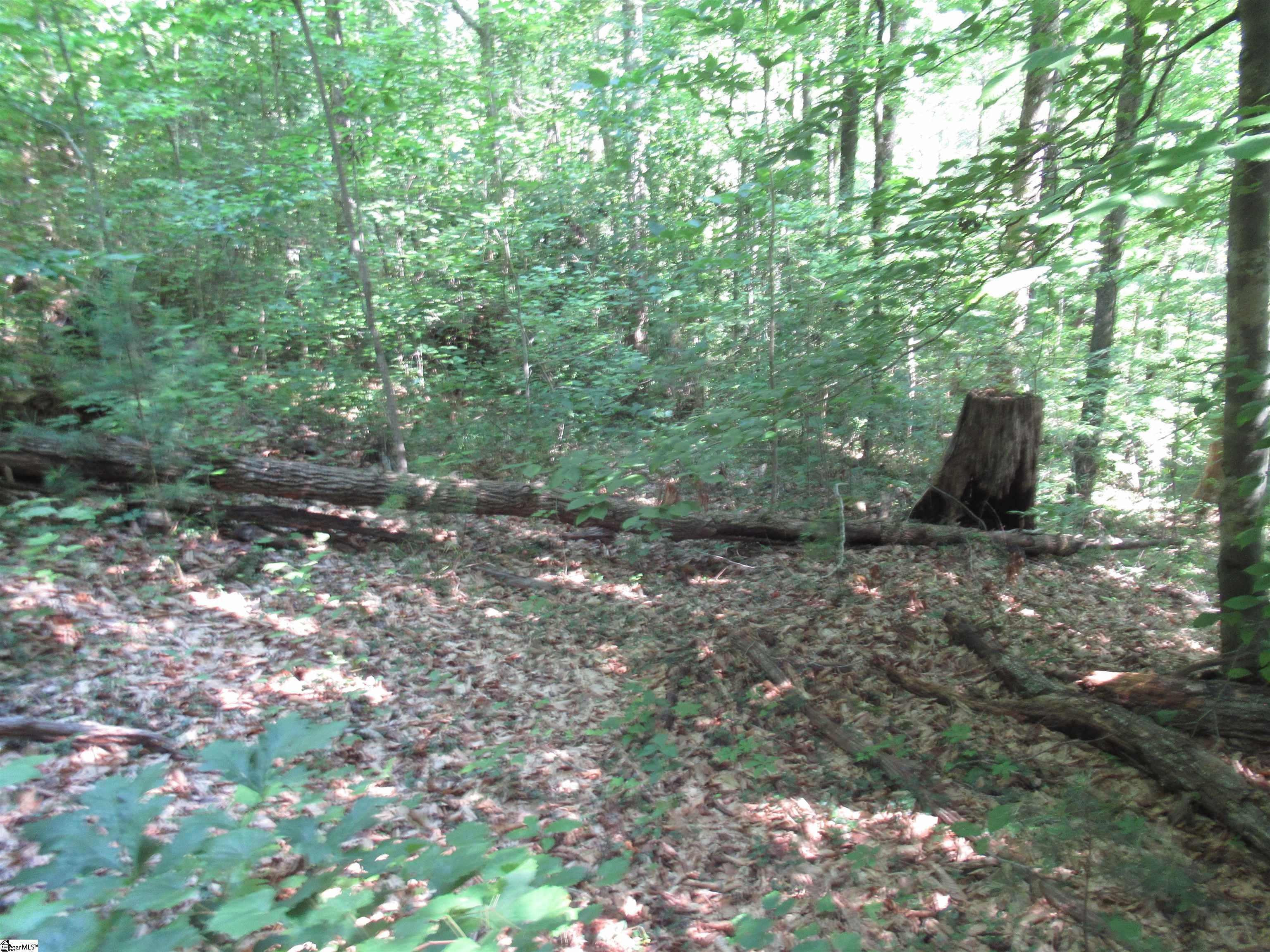 00 Gauley Falls Road Pickens, SC 29671