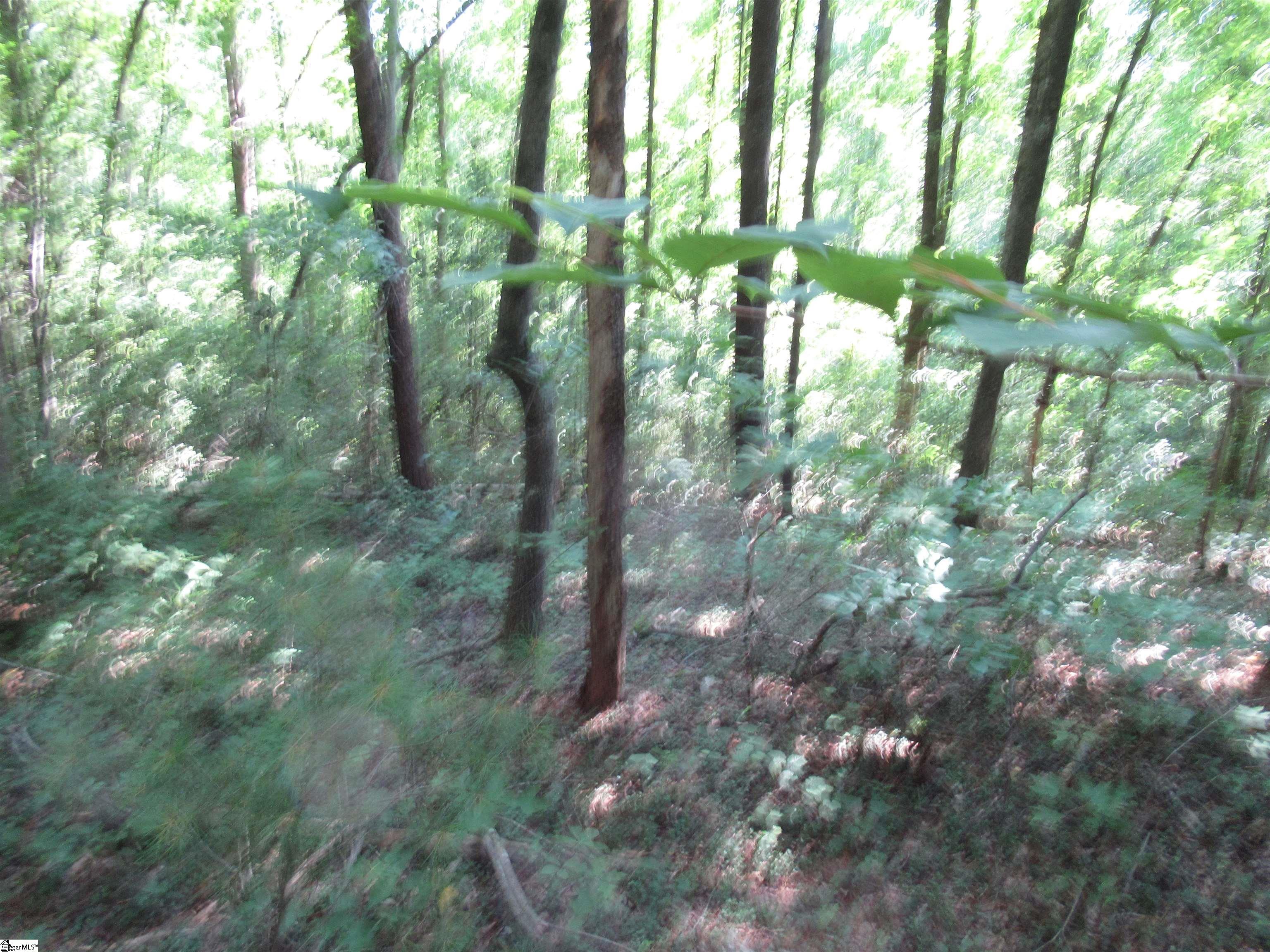 00 Gauley Falls Road Pickens, SC 29671