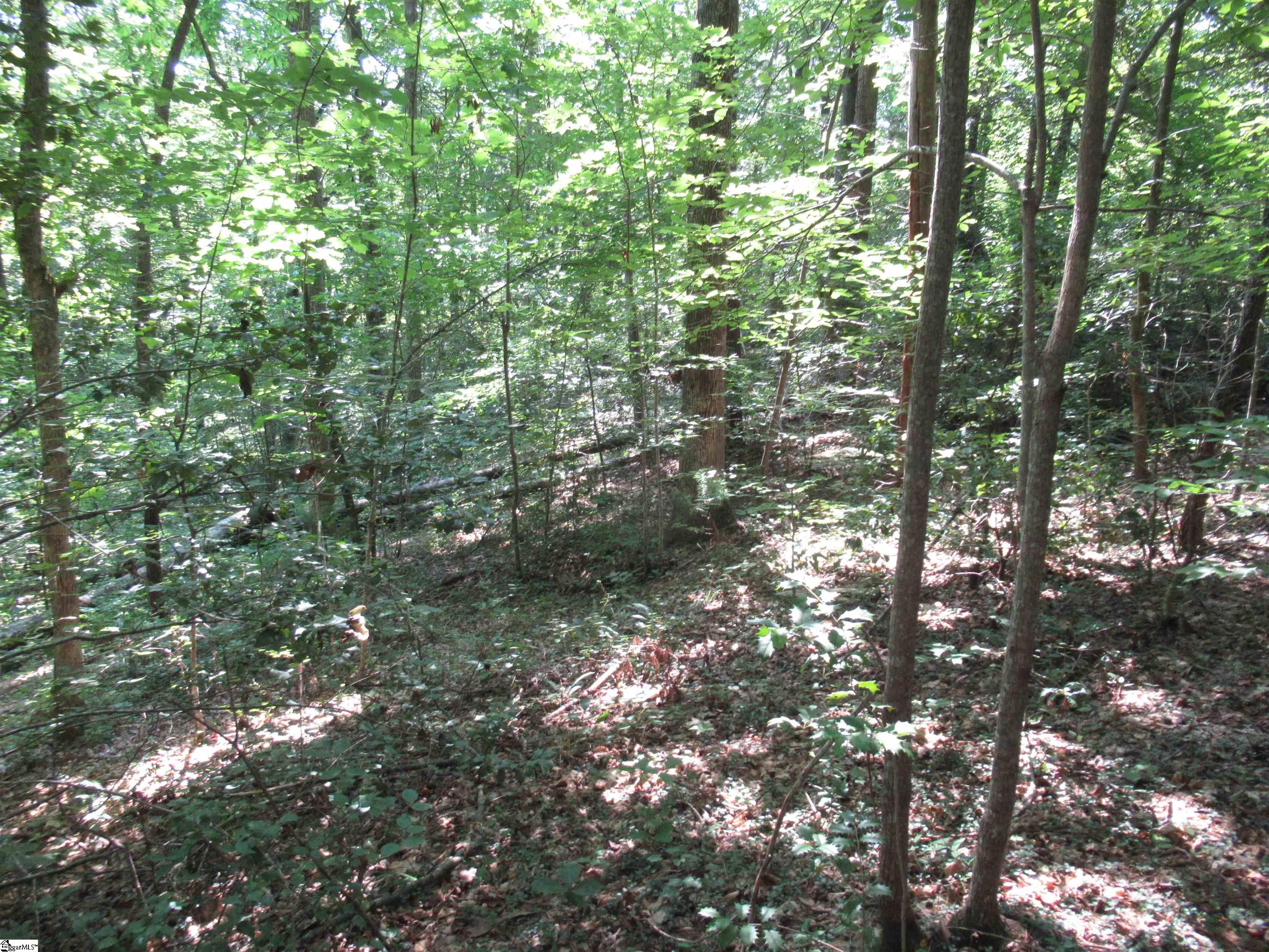 00 Gauley Falls Road Pickens, SC 29671