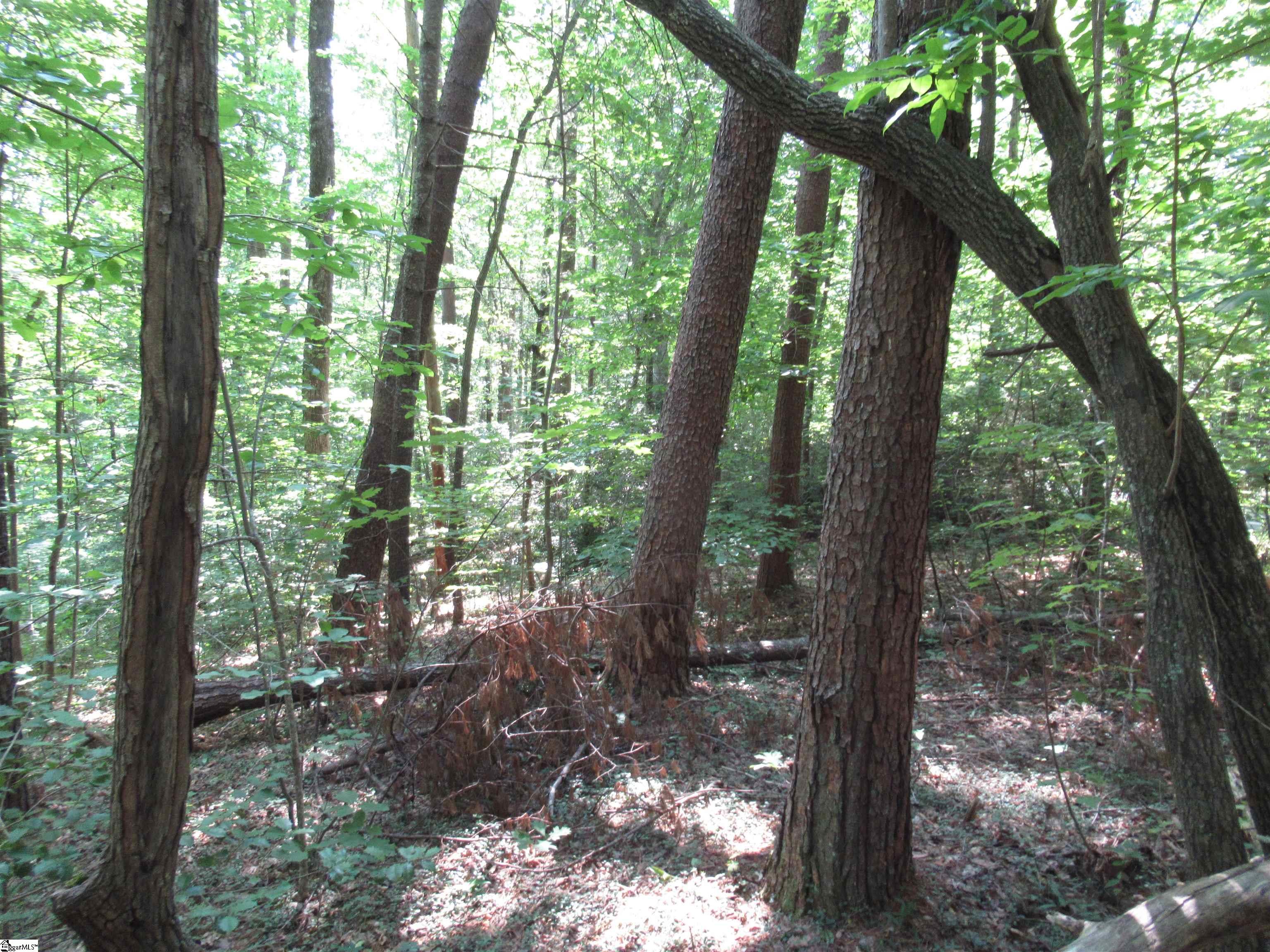 00 Gauley Falls Road Pickens, SC 29671