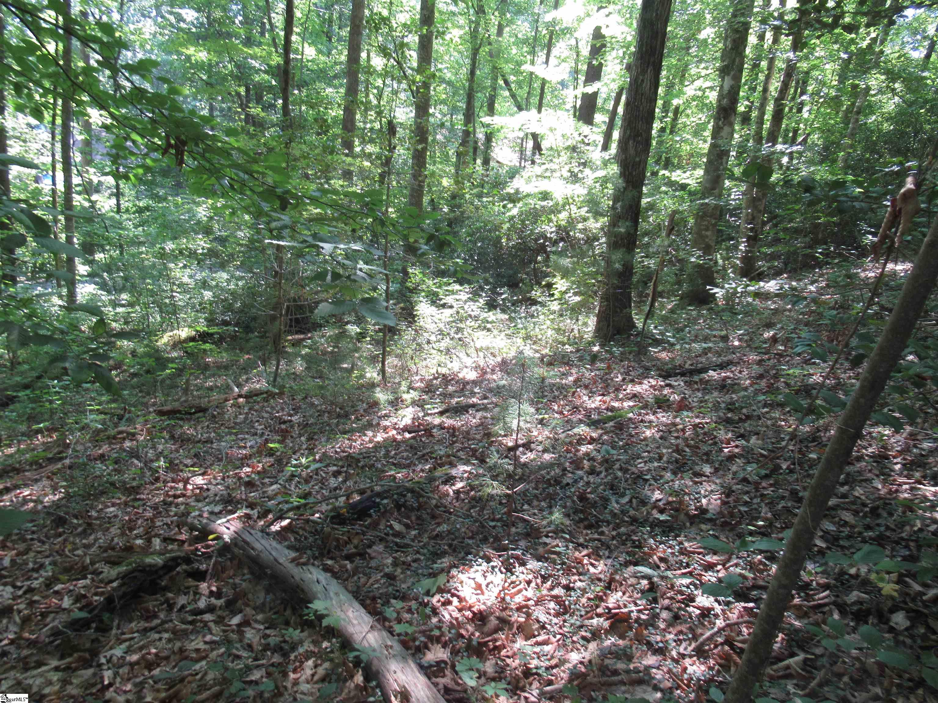 00 Gauley Falls Road Pickens, SC 29671