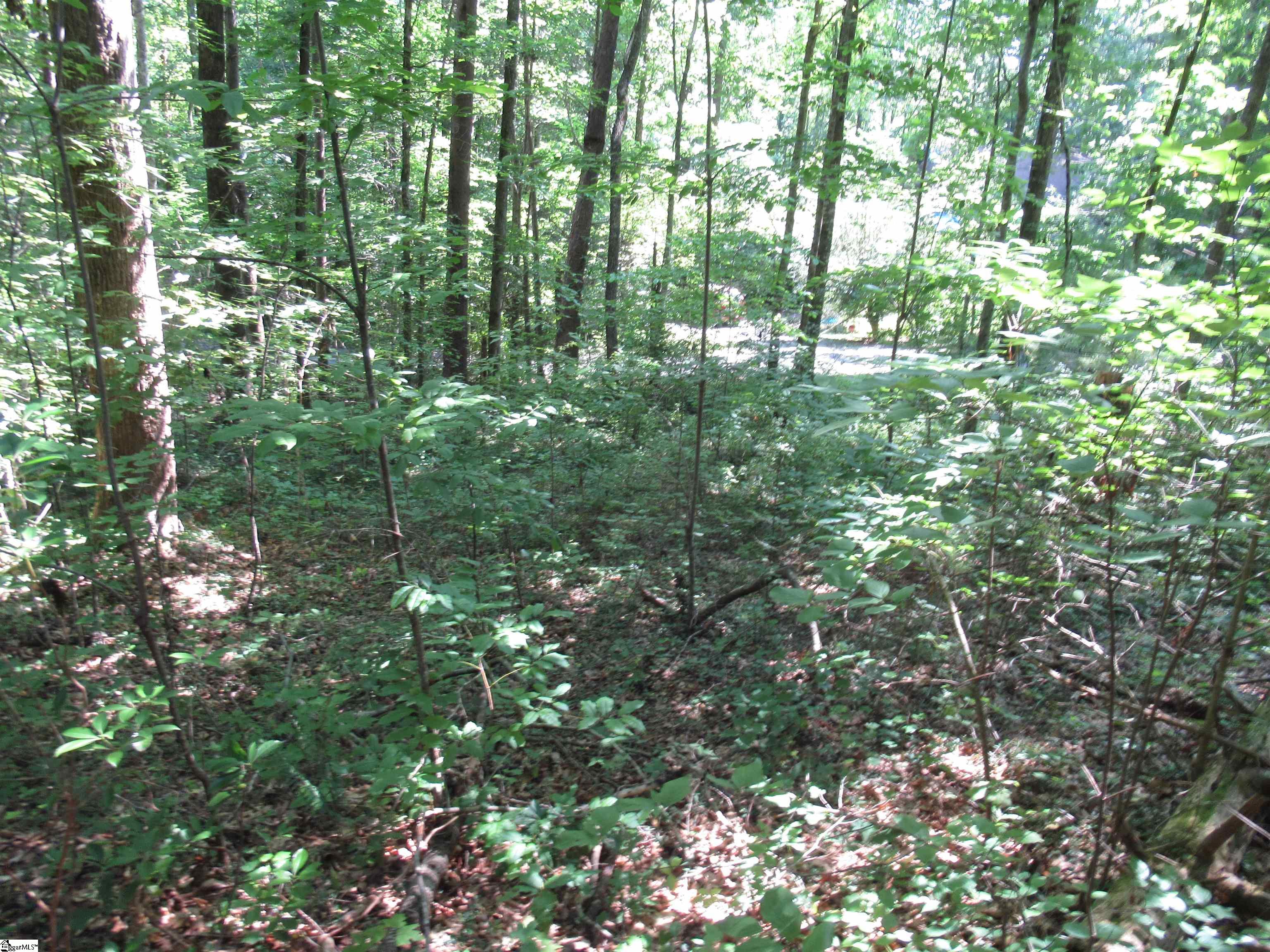 00 Gauley Falls Road Pickens, SC 29671