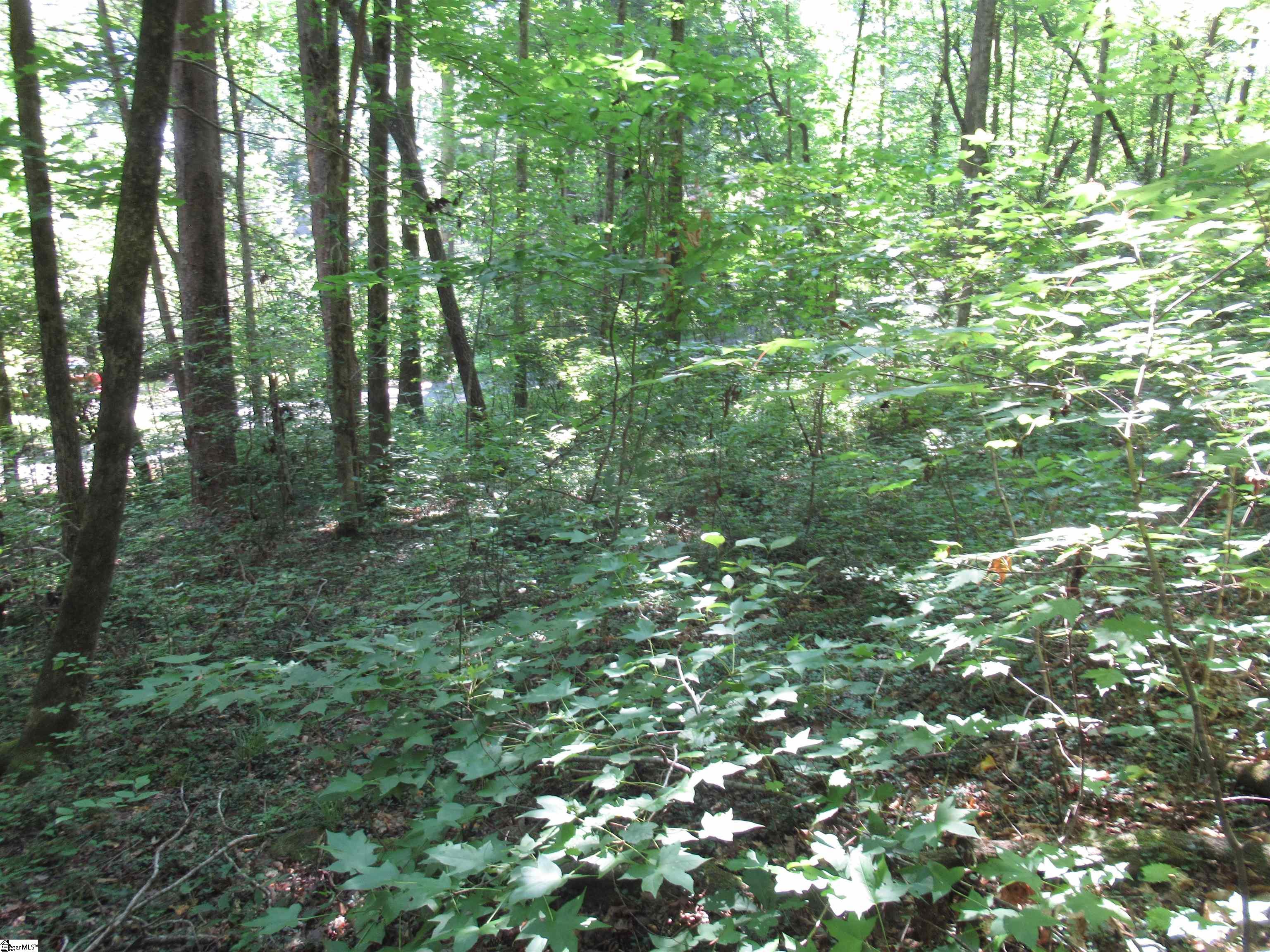 00 Gauley Falls Road Pickens, SC 29671
