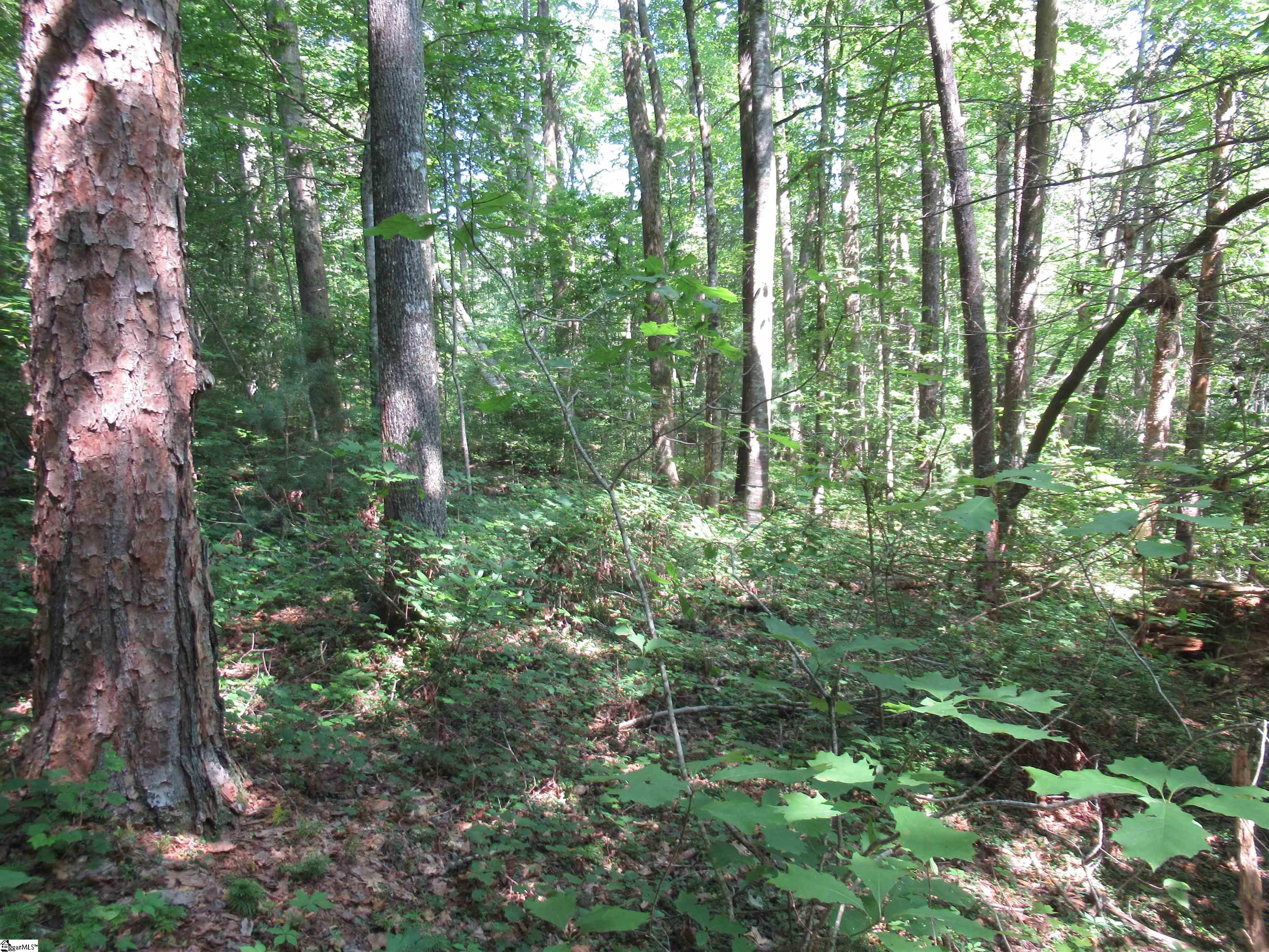 00 Gauley Falls Road Pickens, SC 29671
