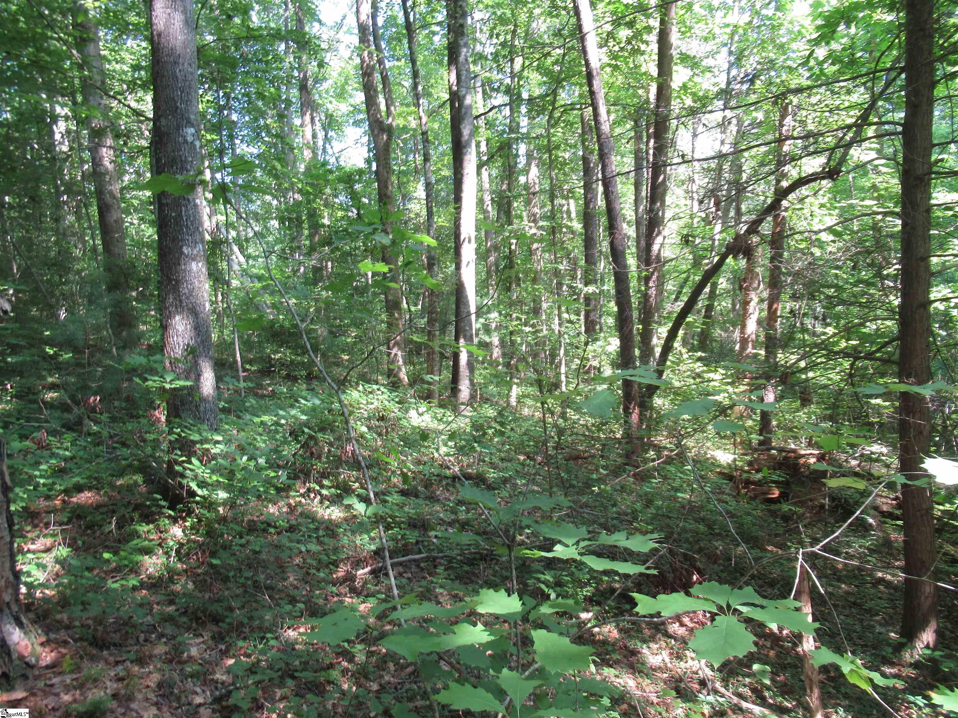 00 Gauley Falls Road Pickens, SC 29671