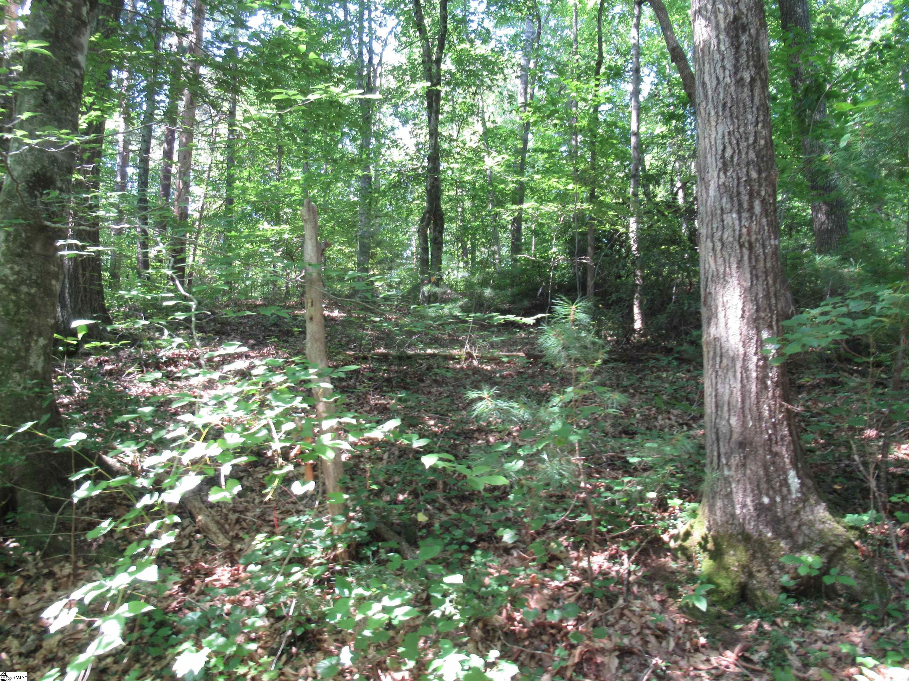 00 Gauley Falls Road Pickens, SC 29671