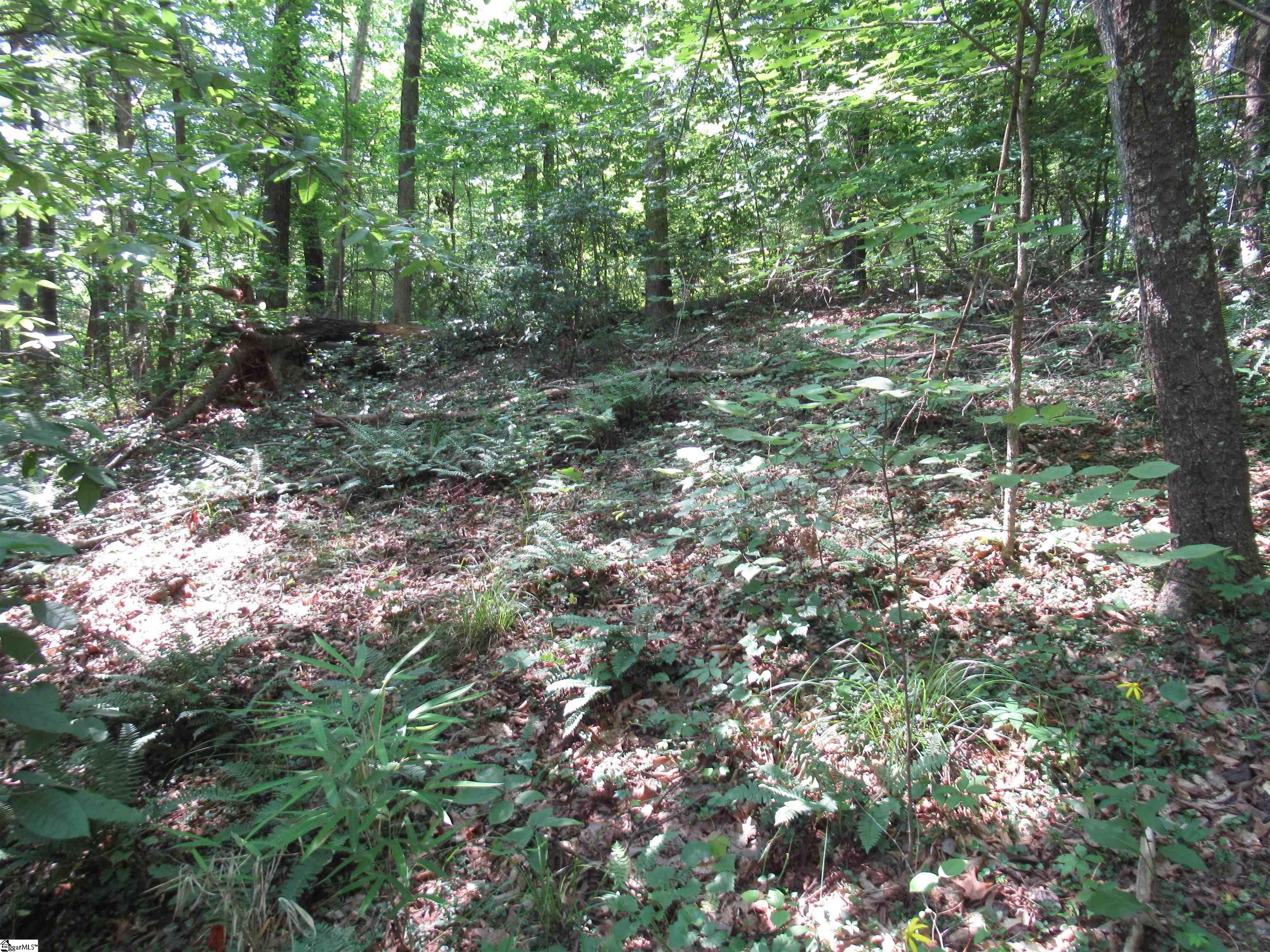 00 Gauley Falls Road Pickens, SC 29671