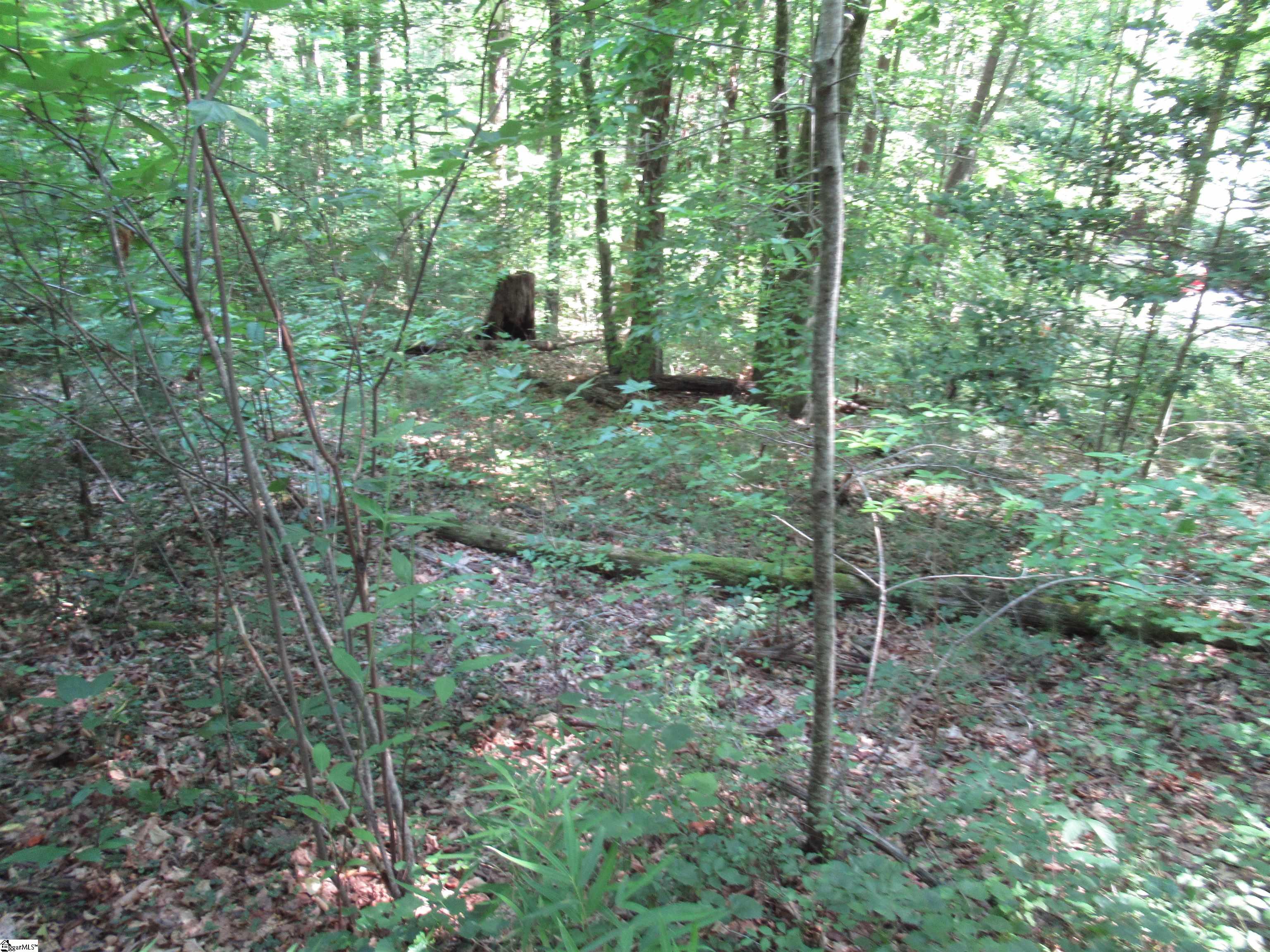 00 Gauley Falls Road Pickens, SC 29671