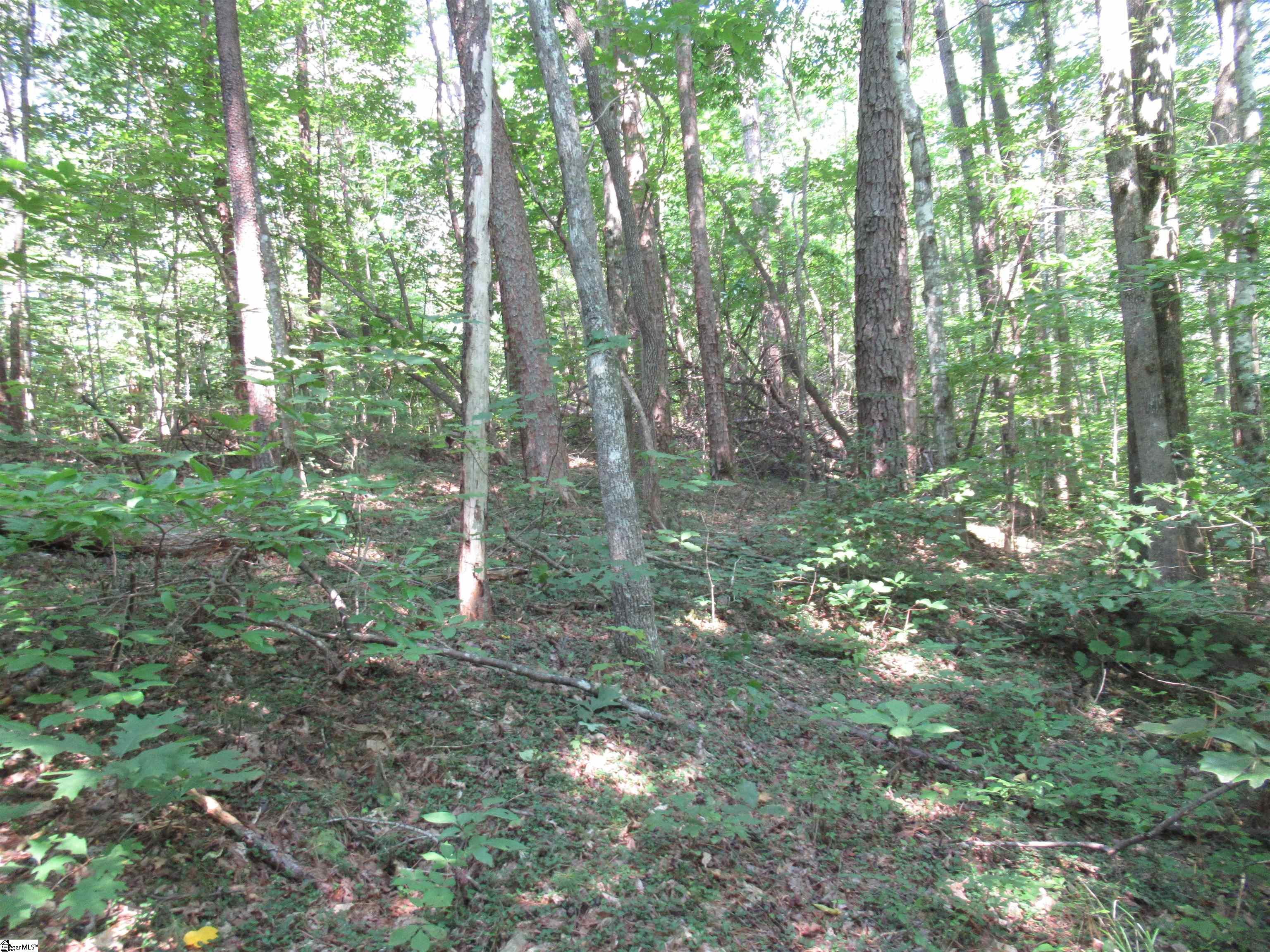 00 Gauley Falls Road Pickens, SC 29671
