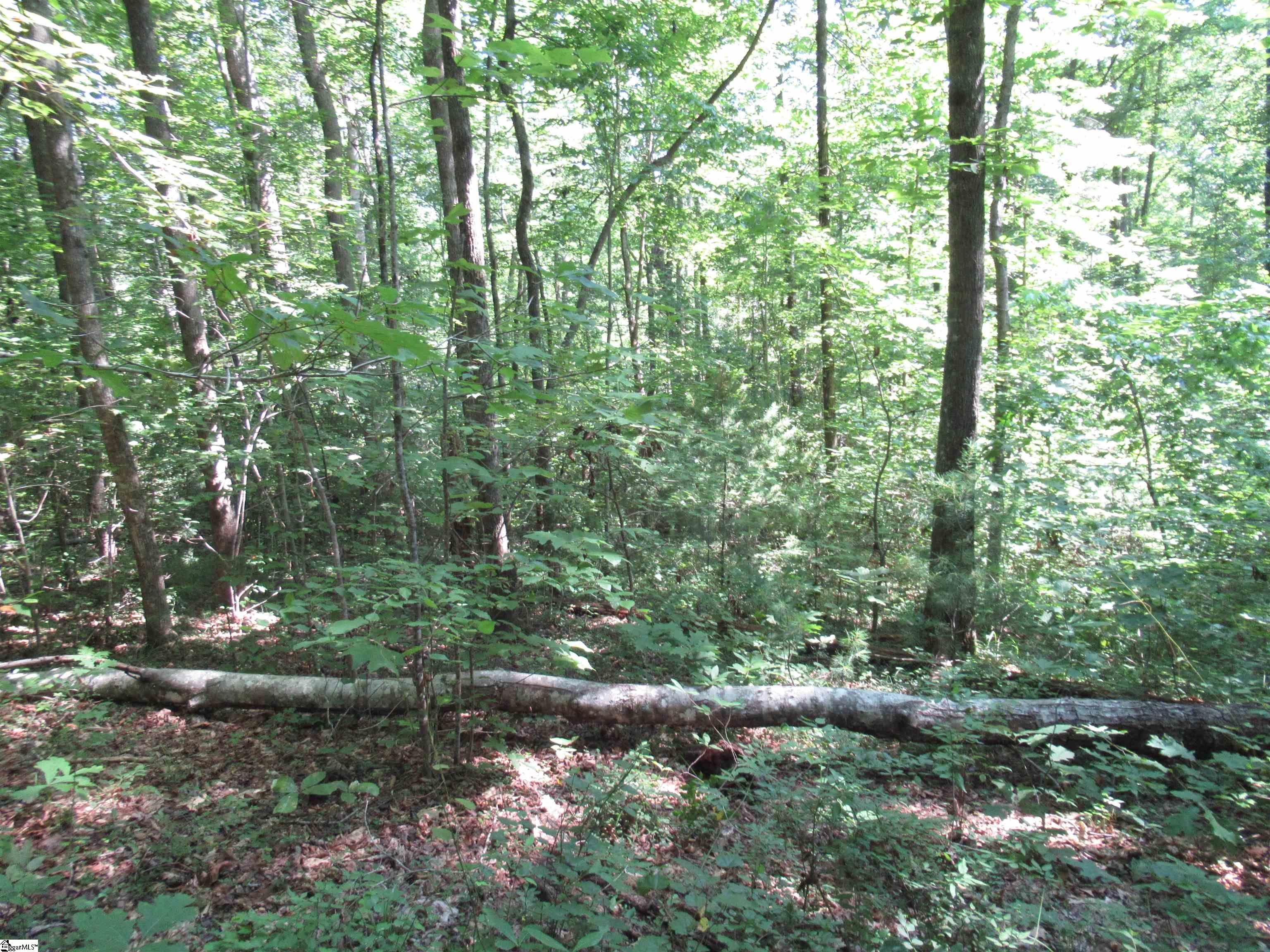 00 Gauley Falls Road Pickens, SC 29671