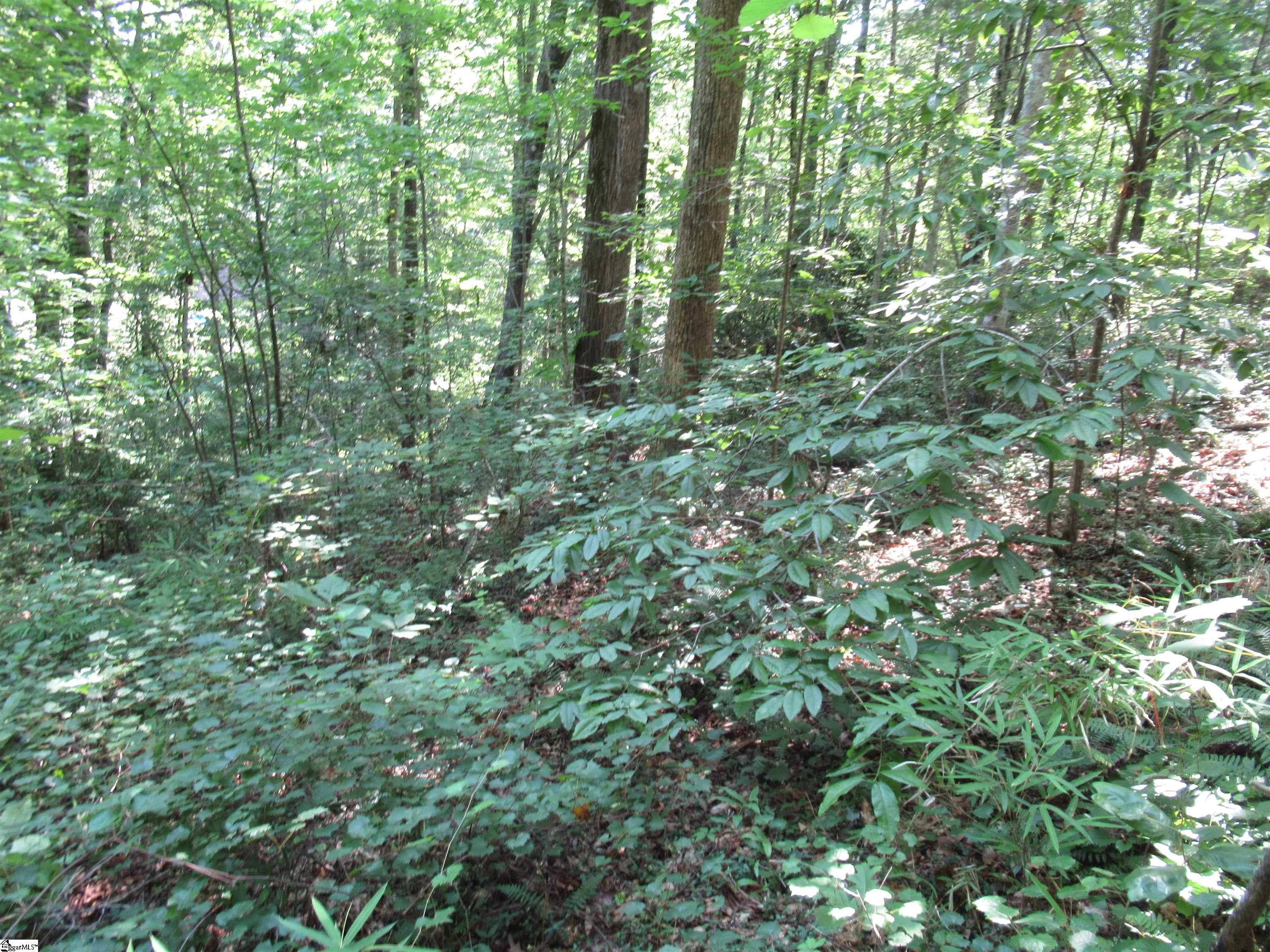 00 Gauley Falls Road Pickens, SC 29671