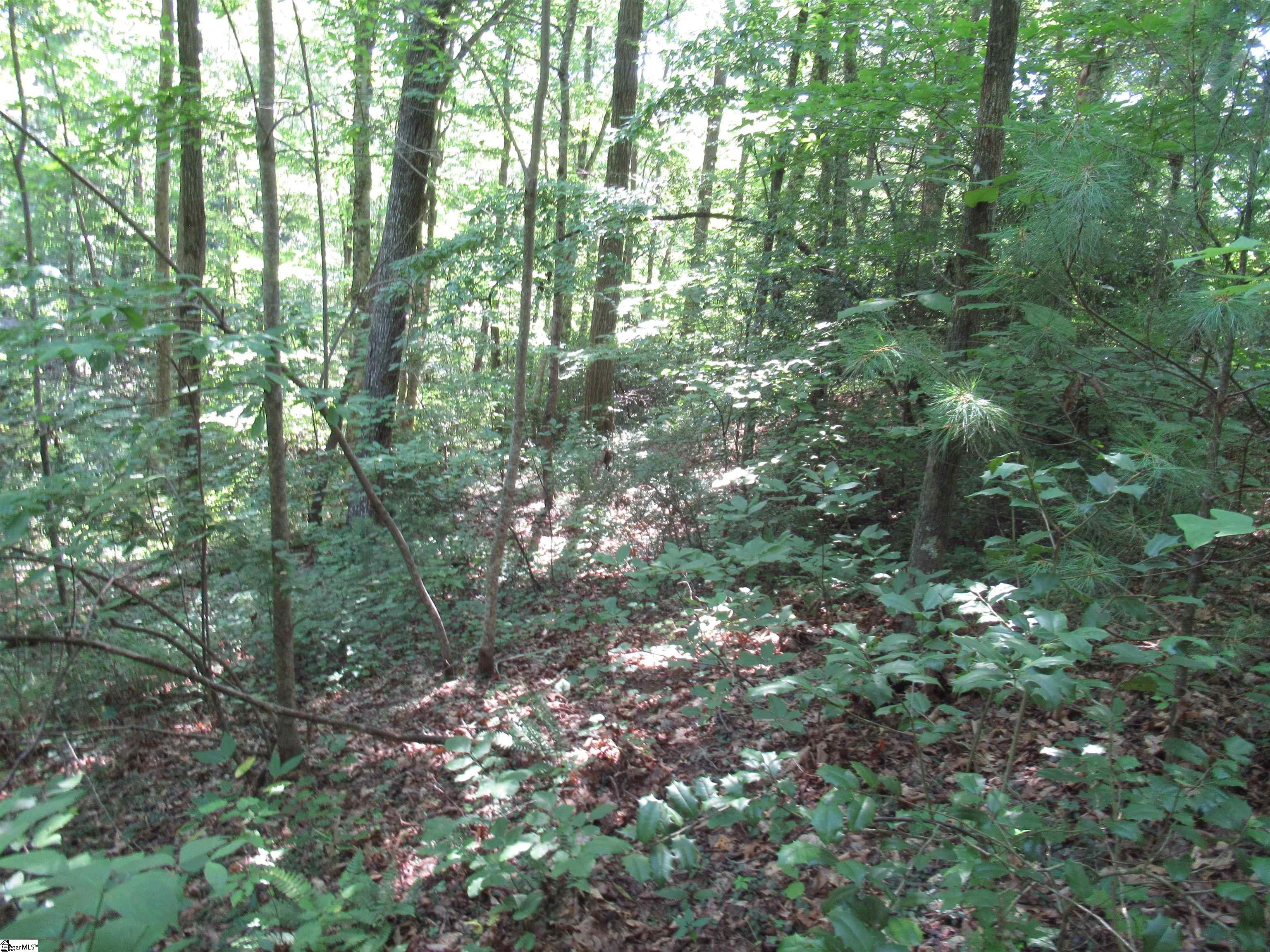 00 Gauley Falls Road Pickens, SC 29671