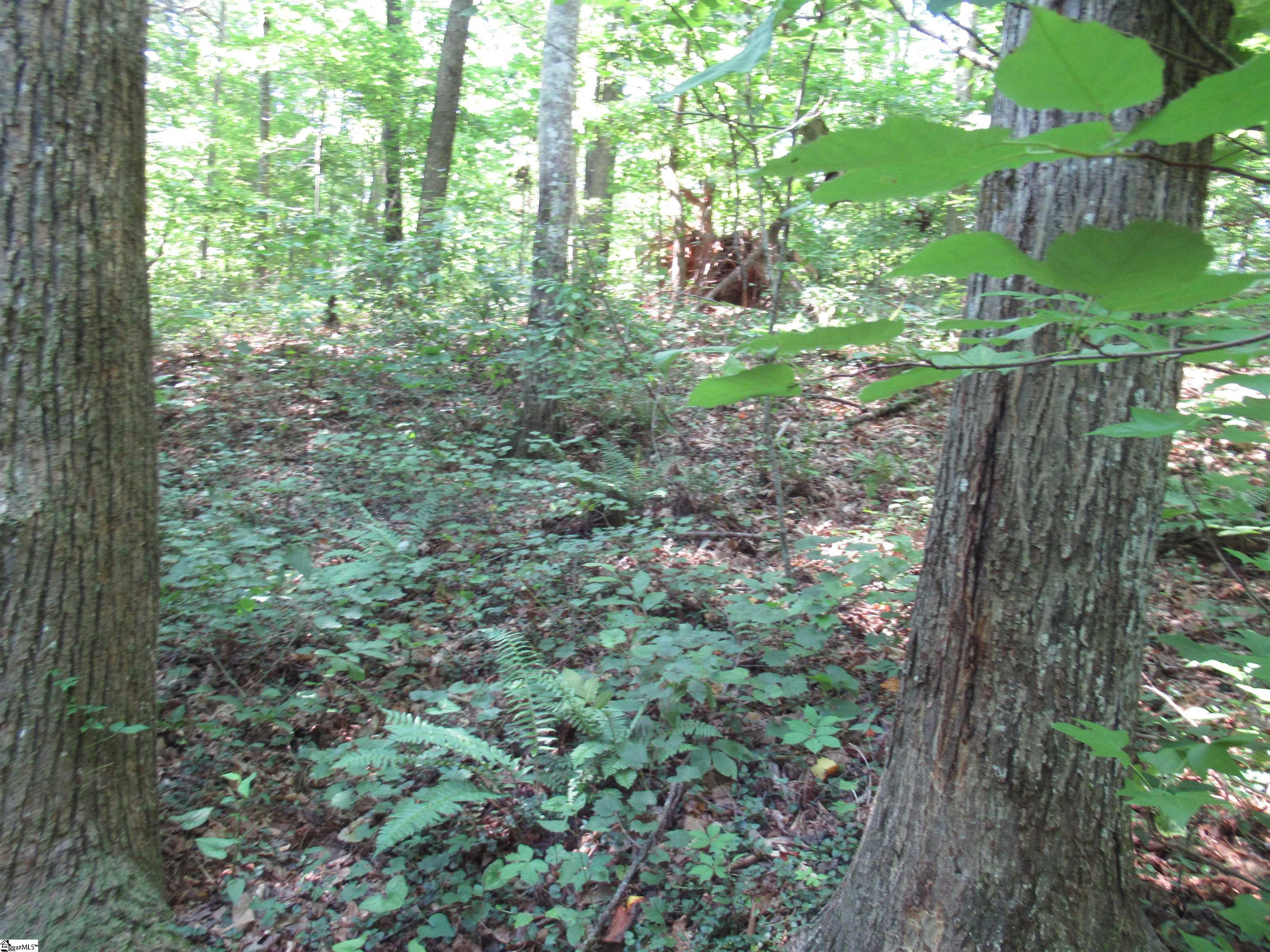 00 Gauley Falls Road Pickens, SC 29671