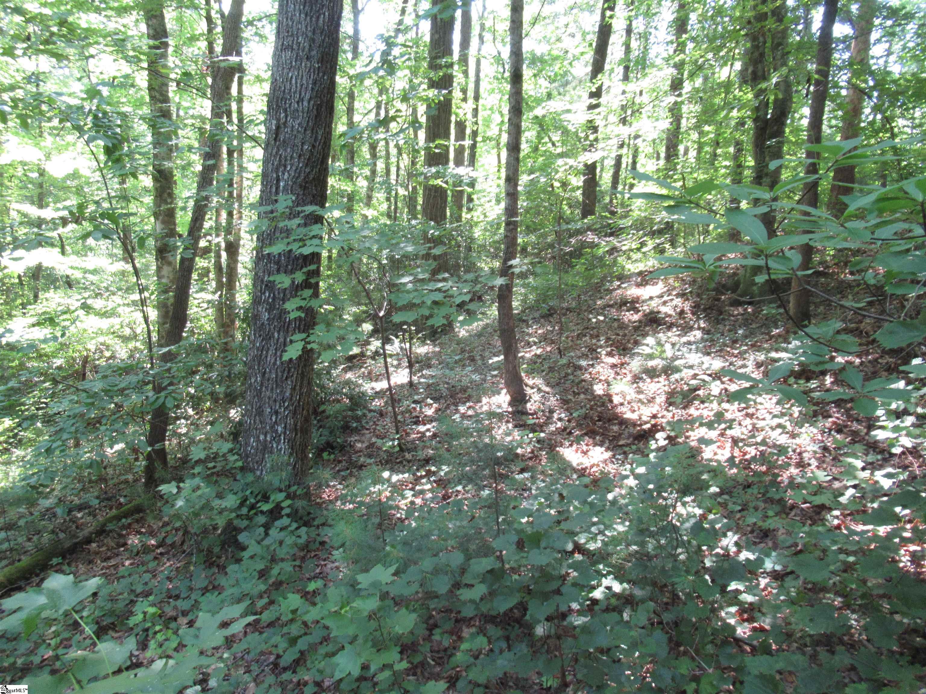 00 Gauley Falls Road Pickens, SC 29671