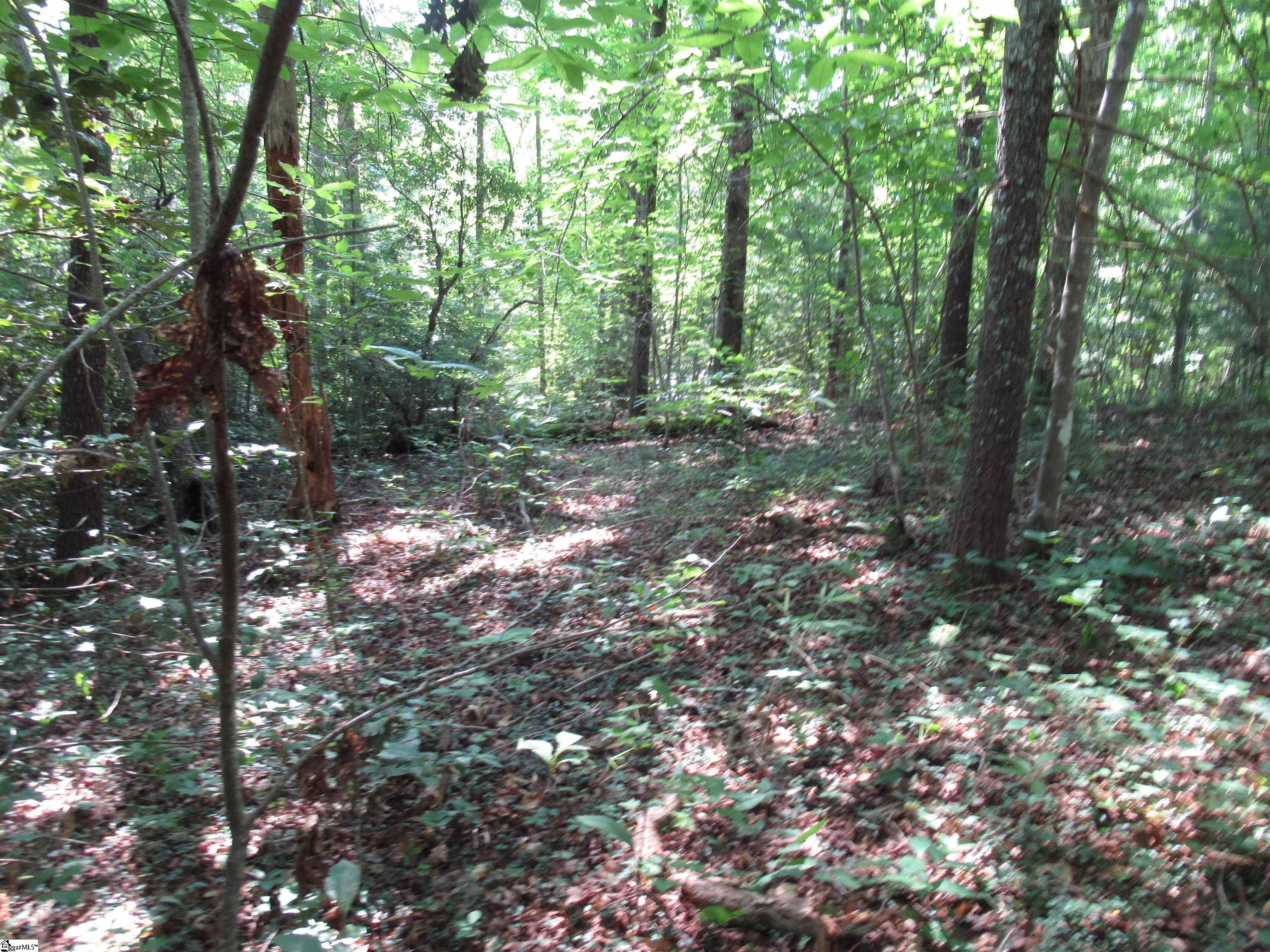00 Gauley Falls Road Pickens, SC 29671